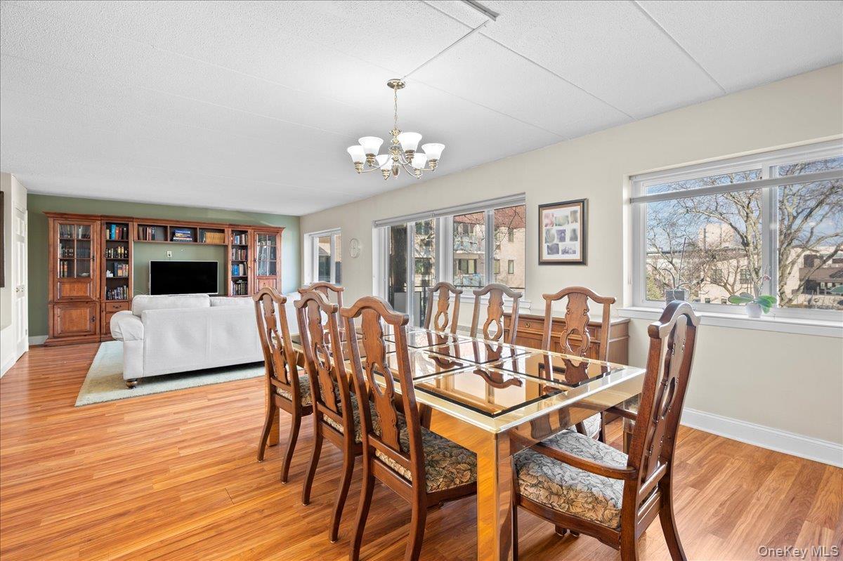 Condo Greenridge Westchester County, NY 10605, MLS-970657-16