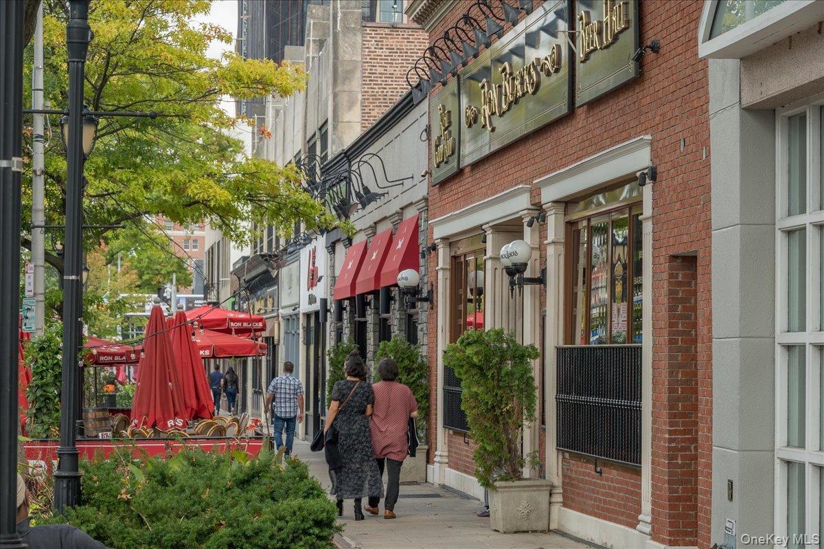 Condo Greenridge Westchester County, NY 10605, MLS-970657-34