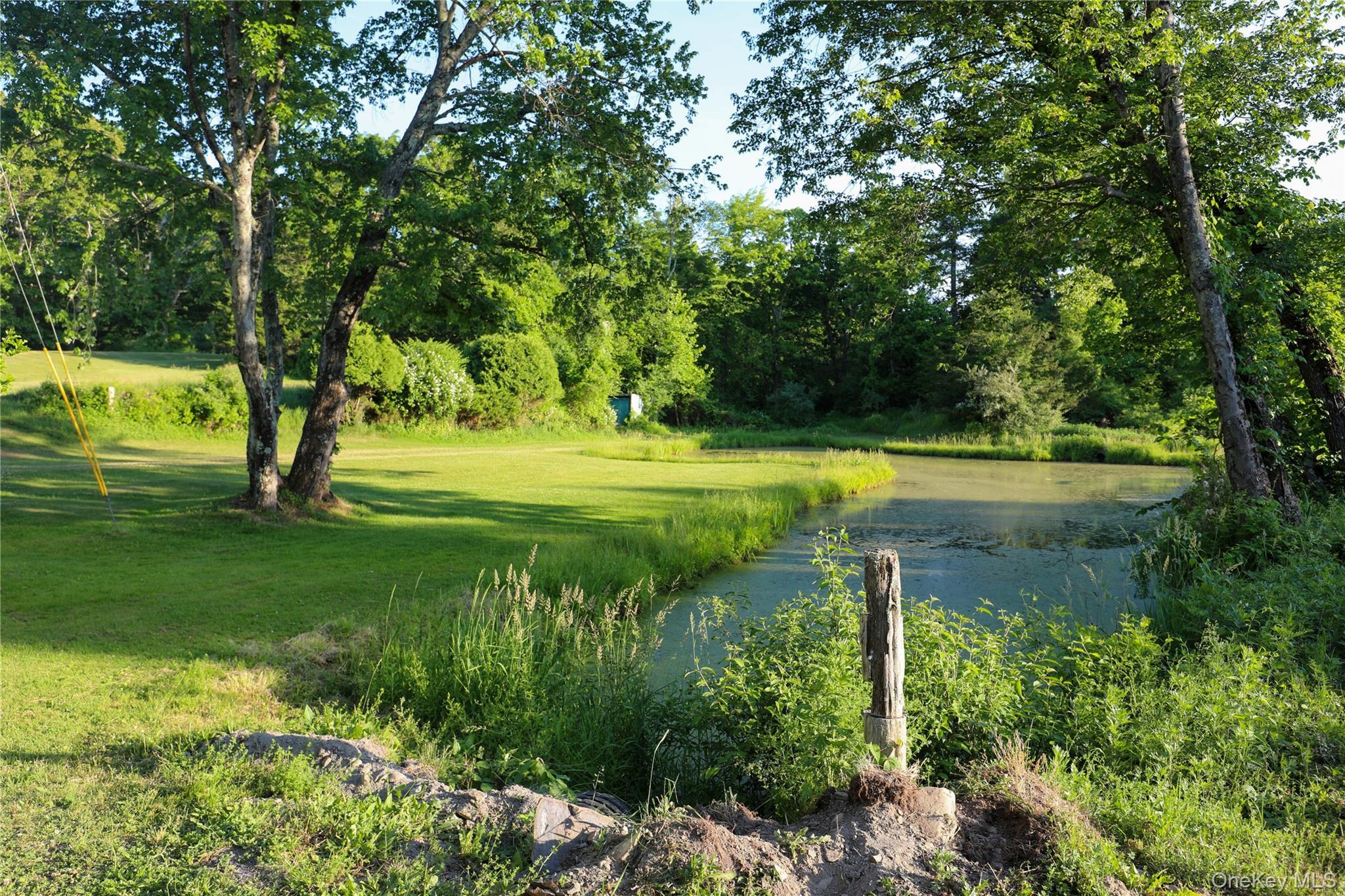 Single Family Walton Lane Ulster County, NY 12443, MLS-970689-22