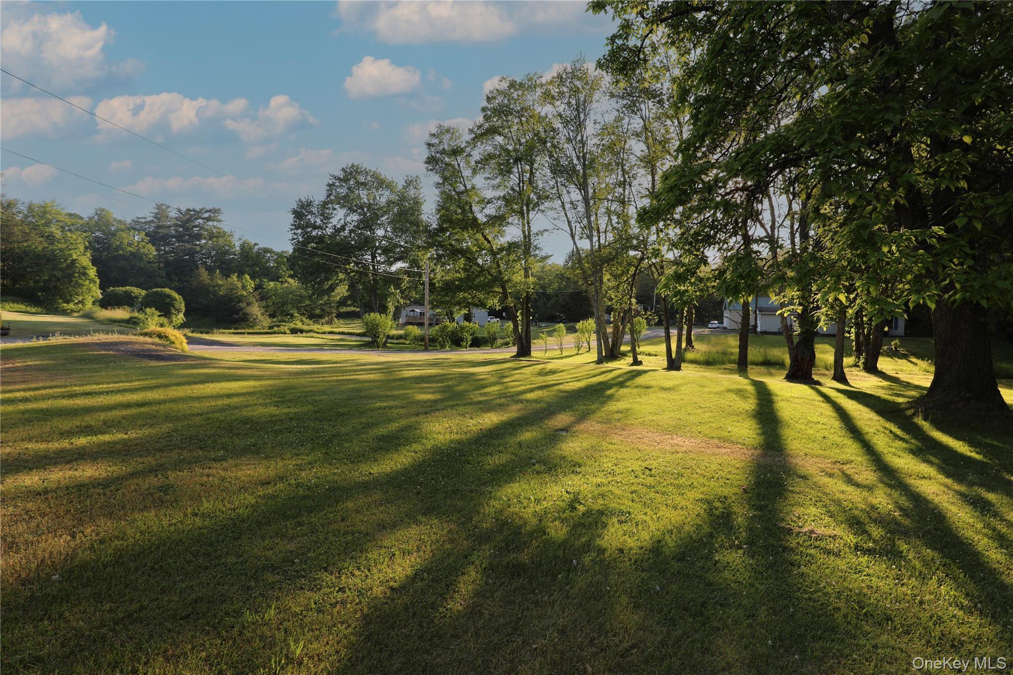 Single Family Walton Lane Ulster County, NY 12443, MLS-970689-24