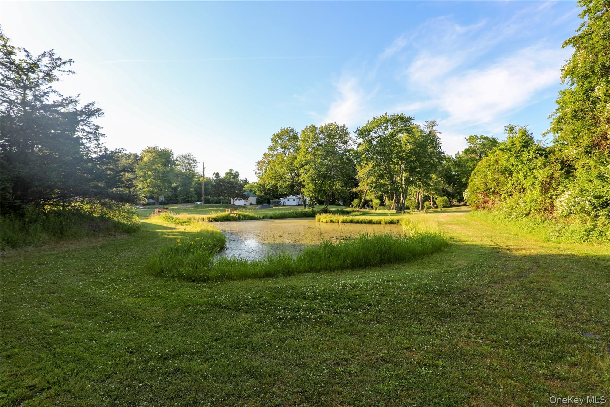 Single Family Walton Lane Ulster County, NY 12443, MLS-970689-29