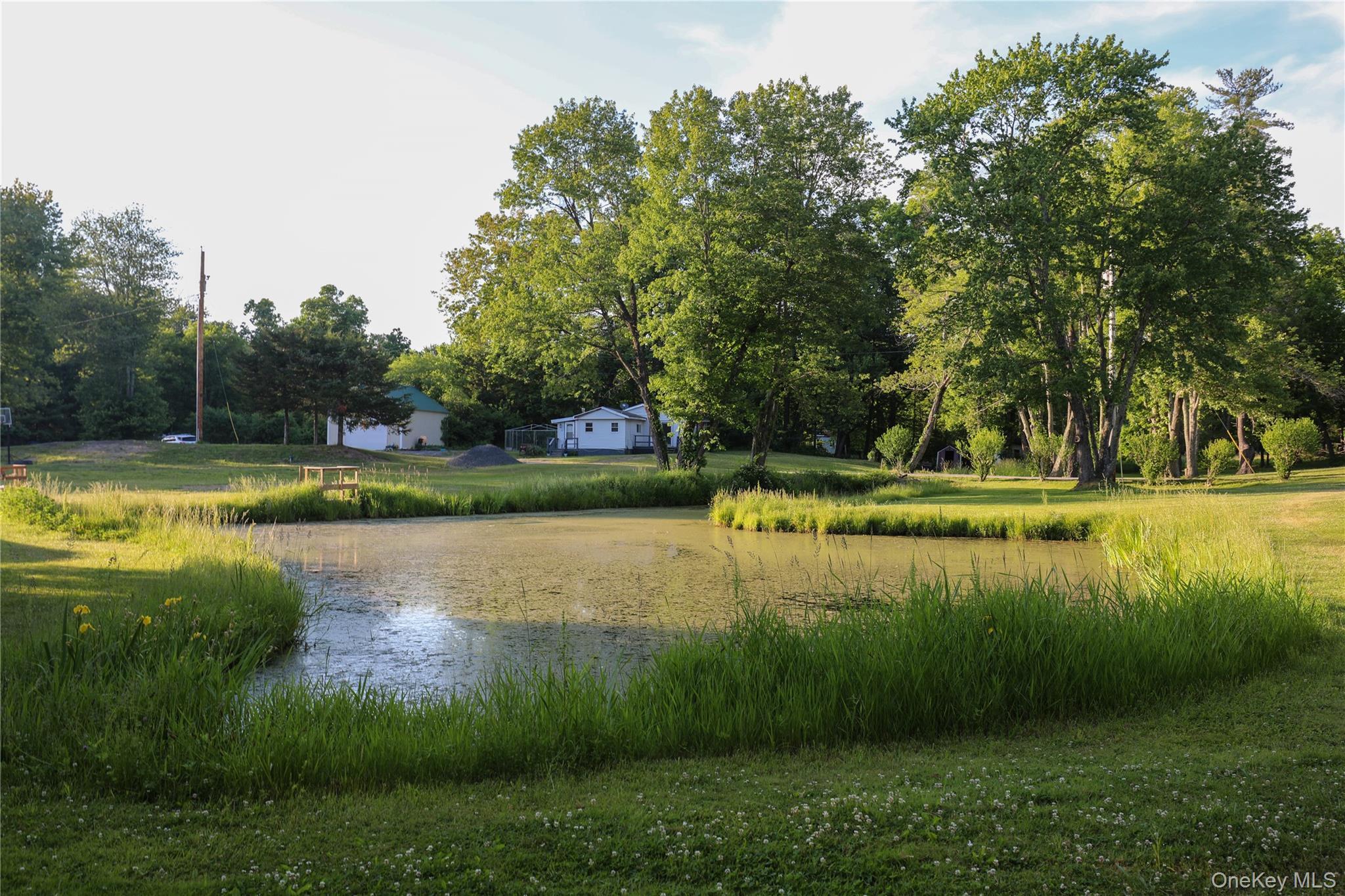 Single Family Walton Lane Ulster County, NY 12443, MLS-970689-30