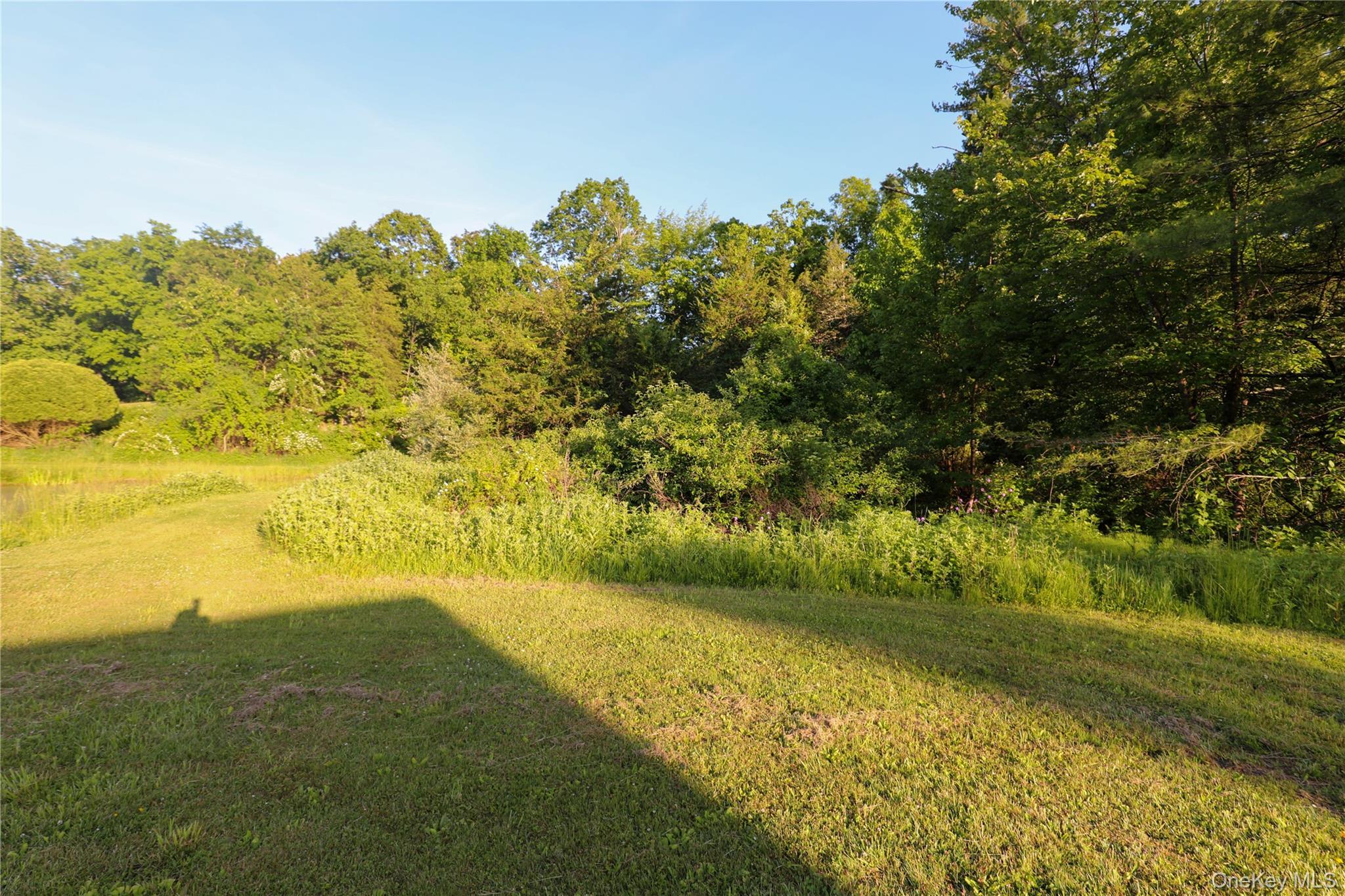 Single Family Walton Lane Ulster County, NY 12443, MLS-970689-31