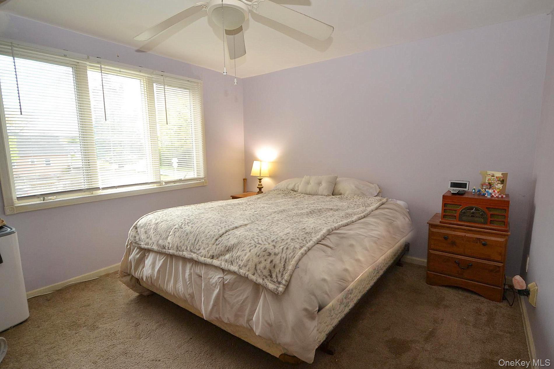 Single Family Fuller Avenue Suffolk County, NY 11751, MLS-970763-9