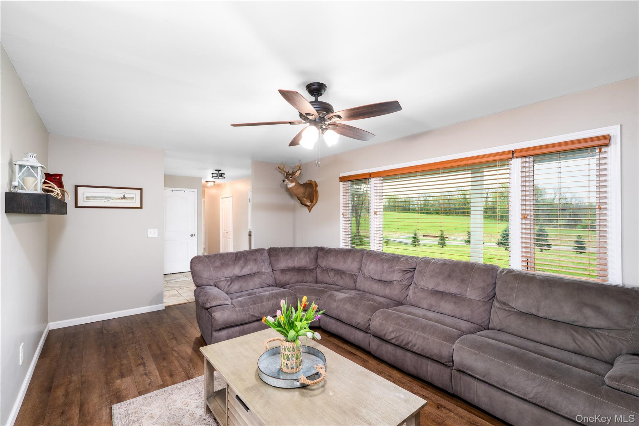 Single Family Diddell Road  Dutchess County, NY 12590, MLS-970818-15