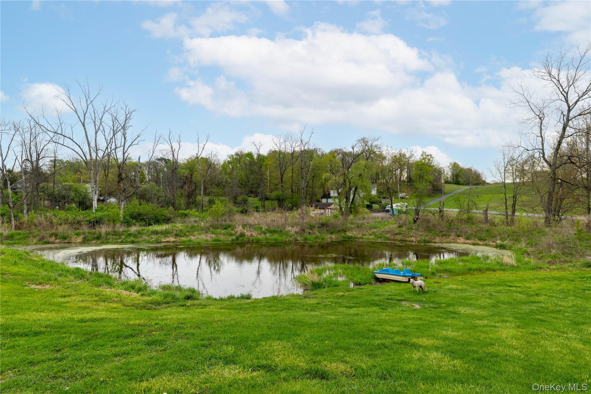 Single Family Diddell Road  Dutchess County, NY 12590, MLS-970818-35