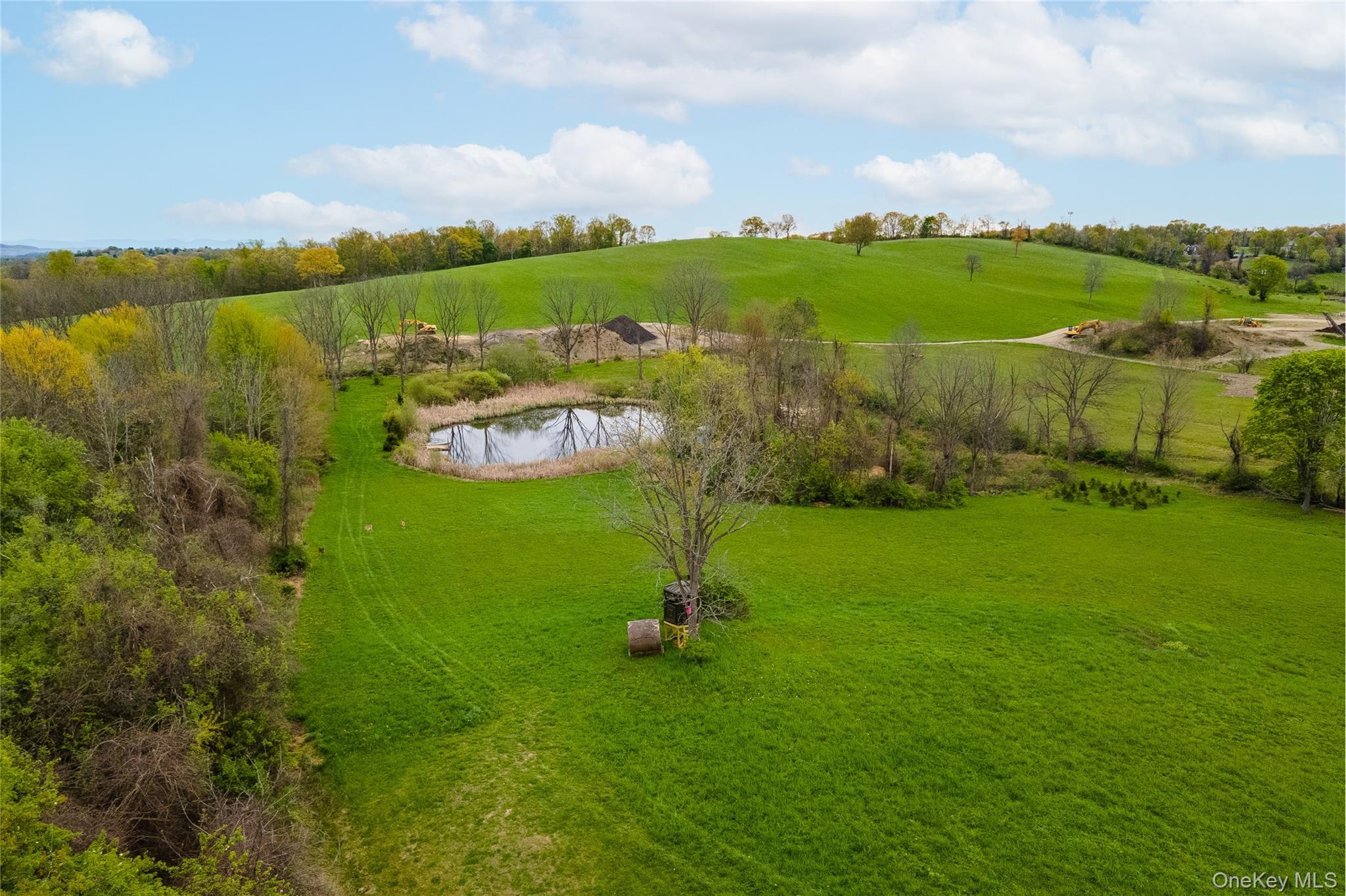 Single Family Diddell Road  Dutchess County, NY 12590, MLS-970818-43