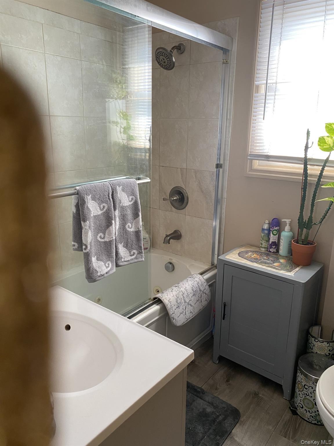 Single Family 223rd  Queens, NY 11413, MLS-970822-16