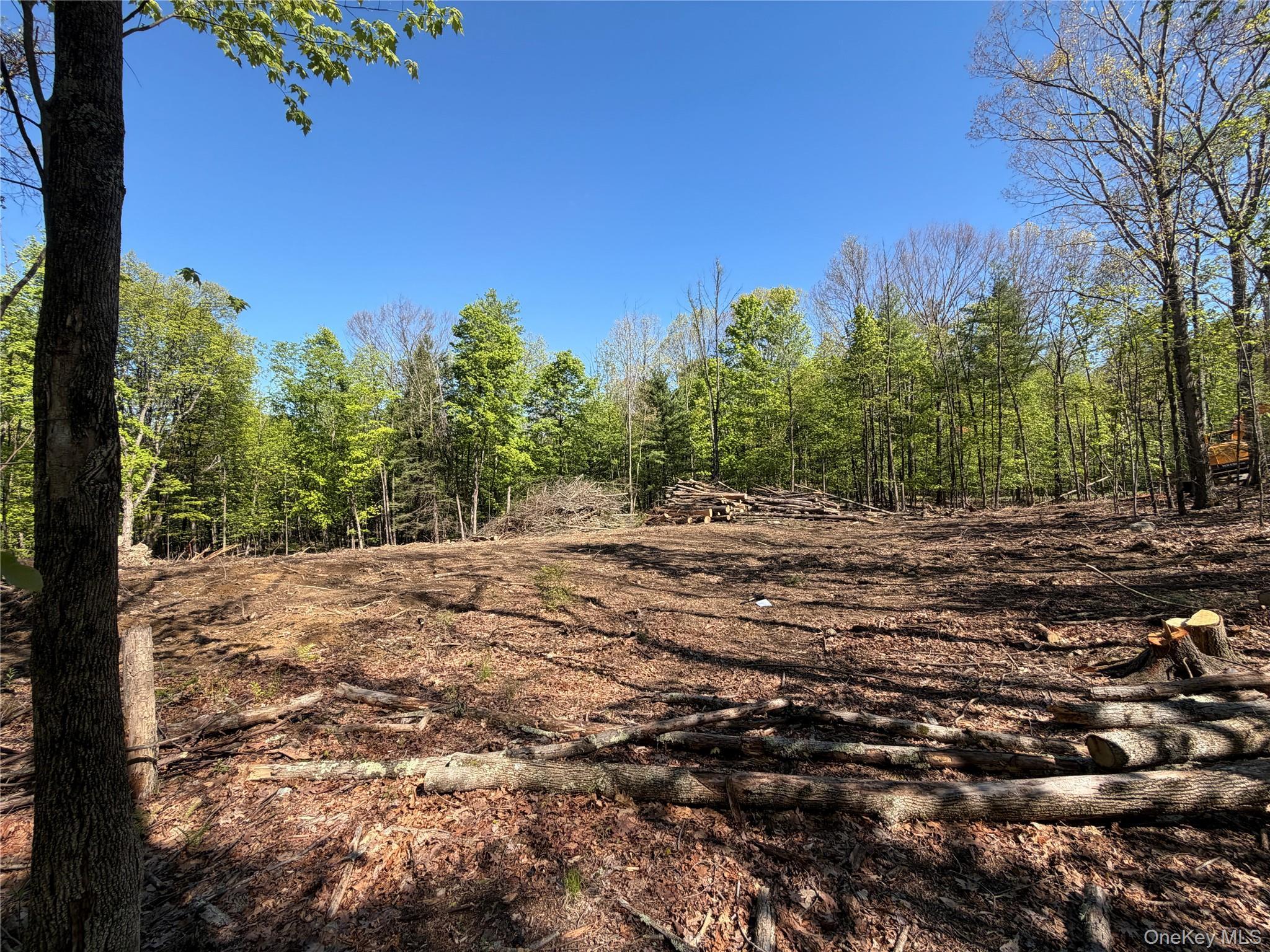 Single Family York Road S Orange County, NY 12721, MLS-970833-3