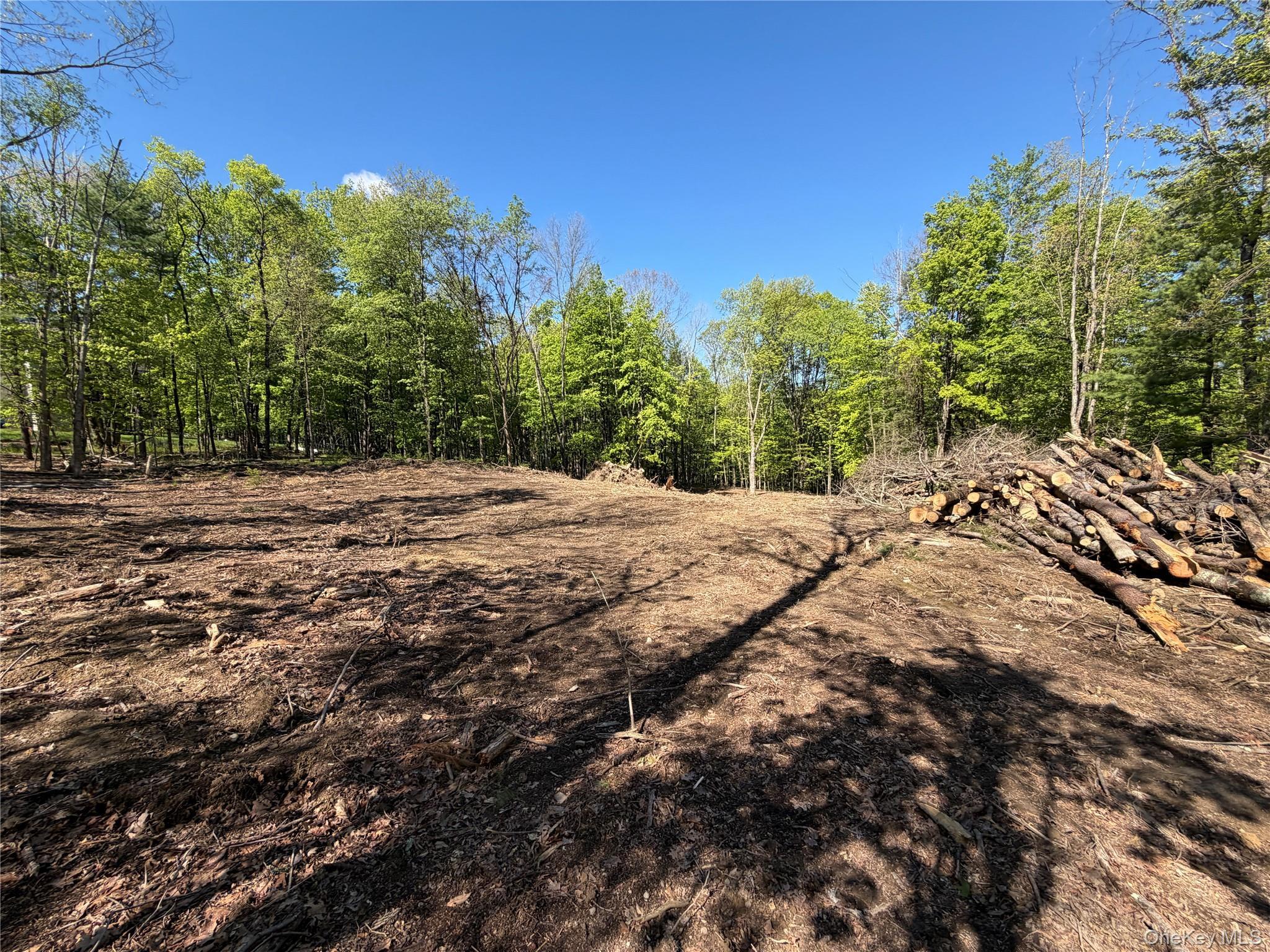 Single Family York Road S Orange County, NY 12721, MLS-970833-4