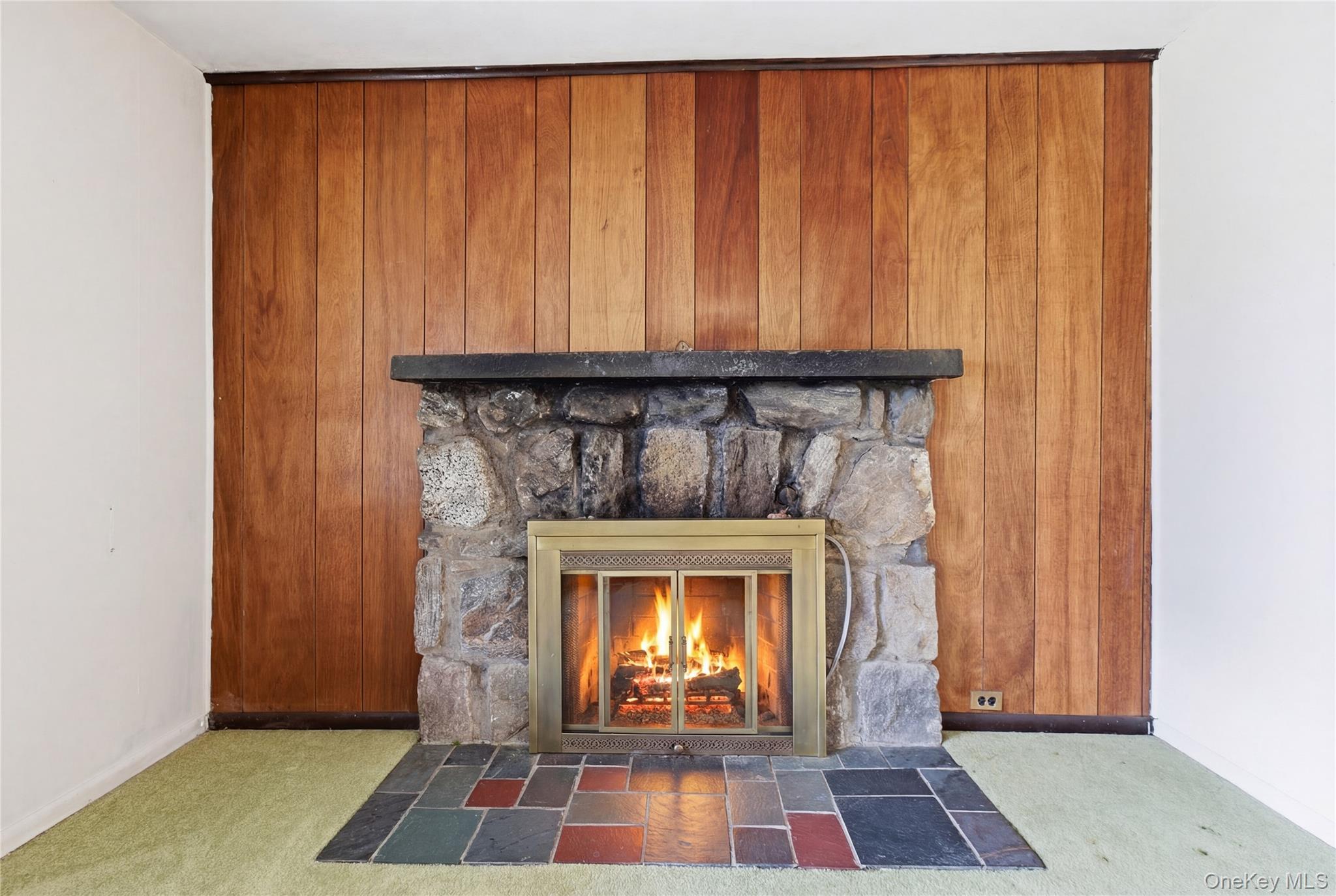 Single Family Lake  Putnam County, NY 10541, MLS-970861-19