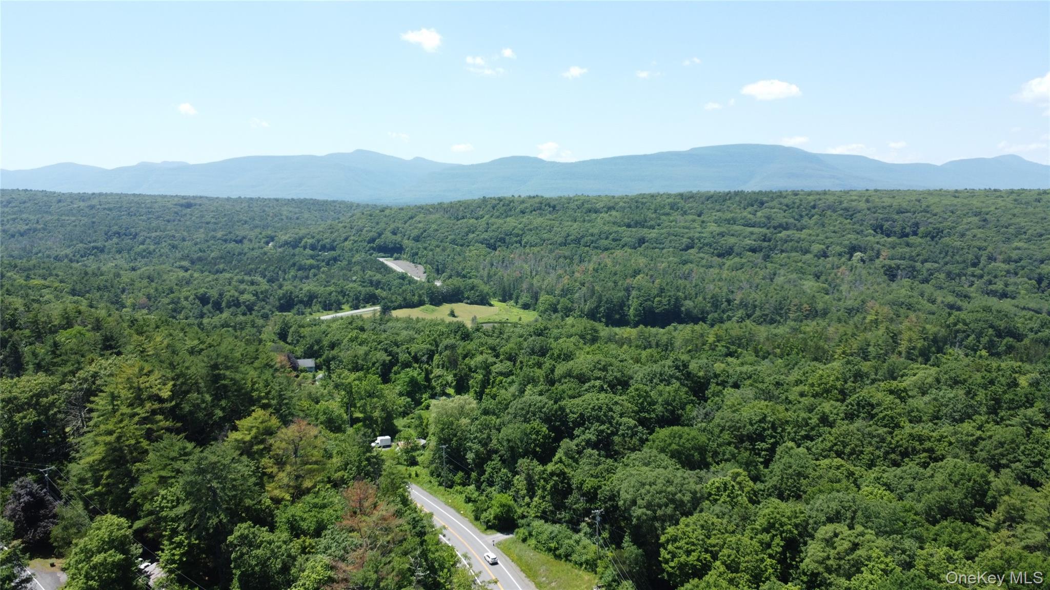 Single Family Will Palmer  Greene County, NY 12414, MLS-970920-4