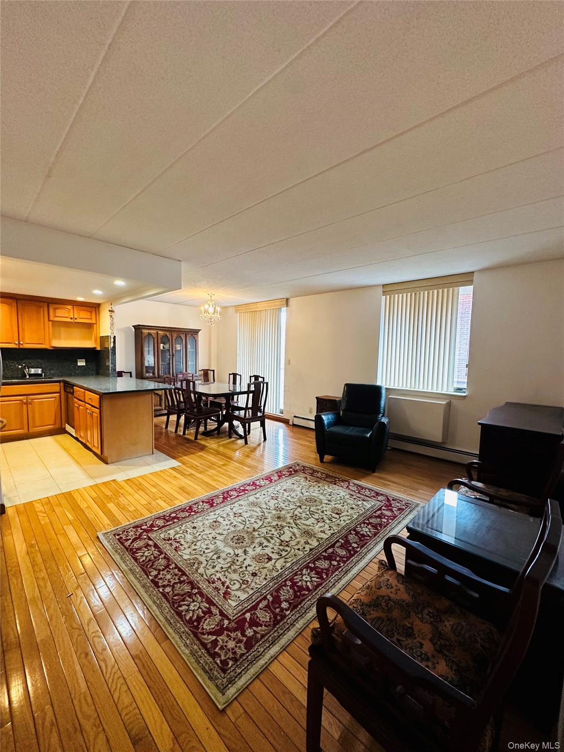 Condo Maple  Queens, NY 11355, MLS-970931-3