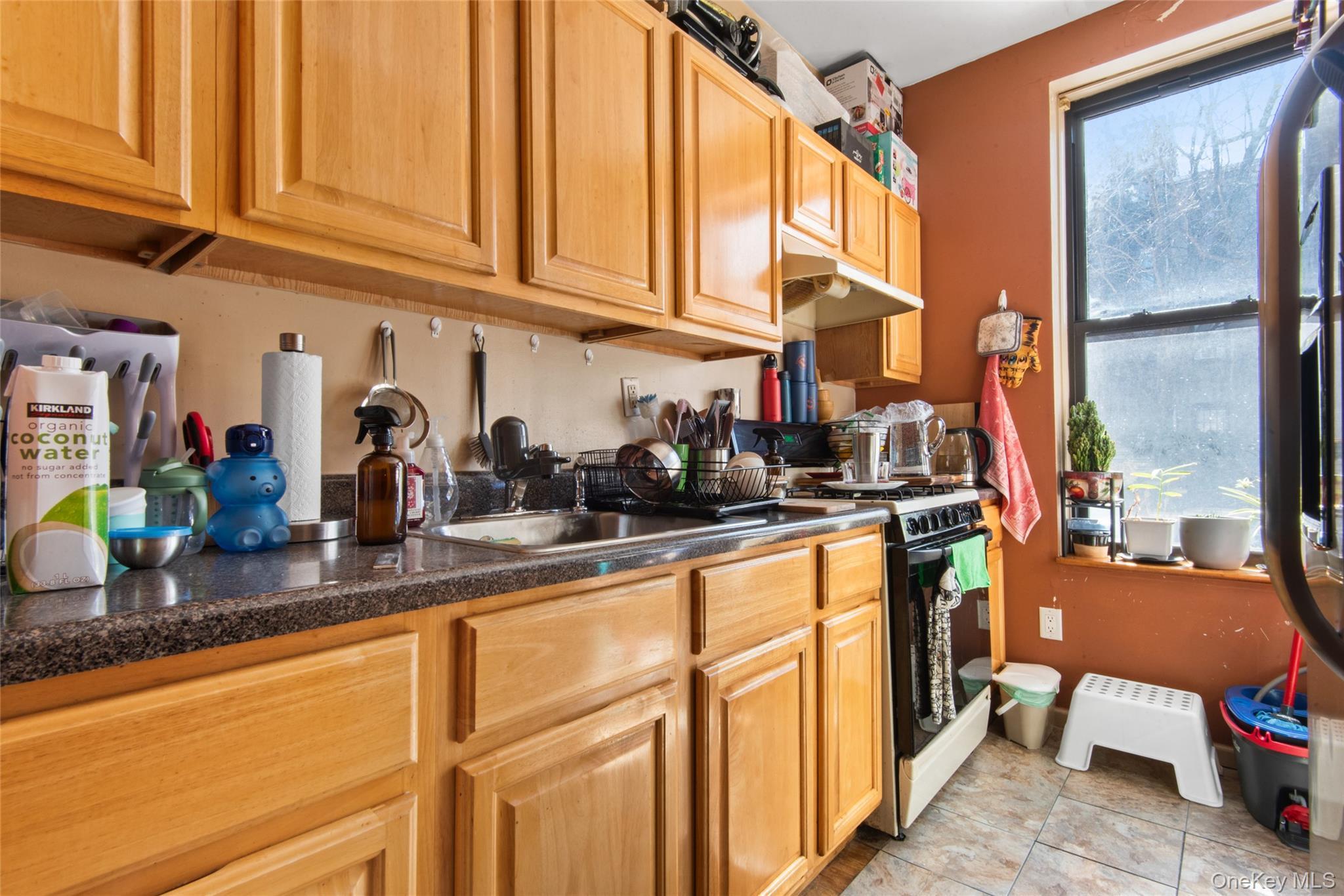 Single Family 45th  Brooklyn, NY 11220, MLS-970945-11