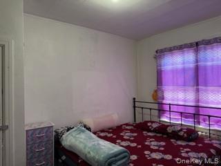 Single Family Havemeyer Bronx, NY 10462, MLS-970957-9