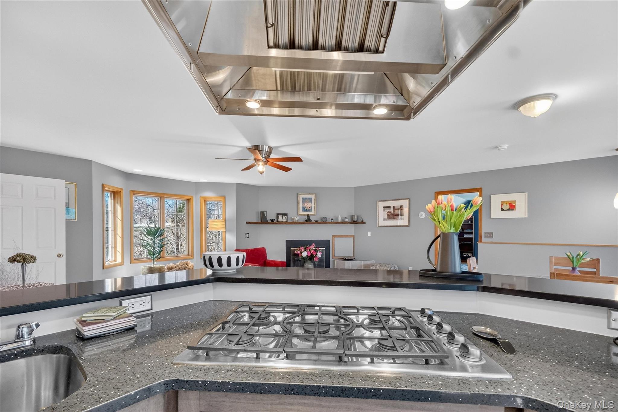 Single Family Meadow  Dutchess County, NY 12571, MLS-970966-24