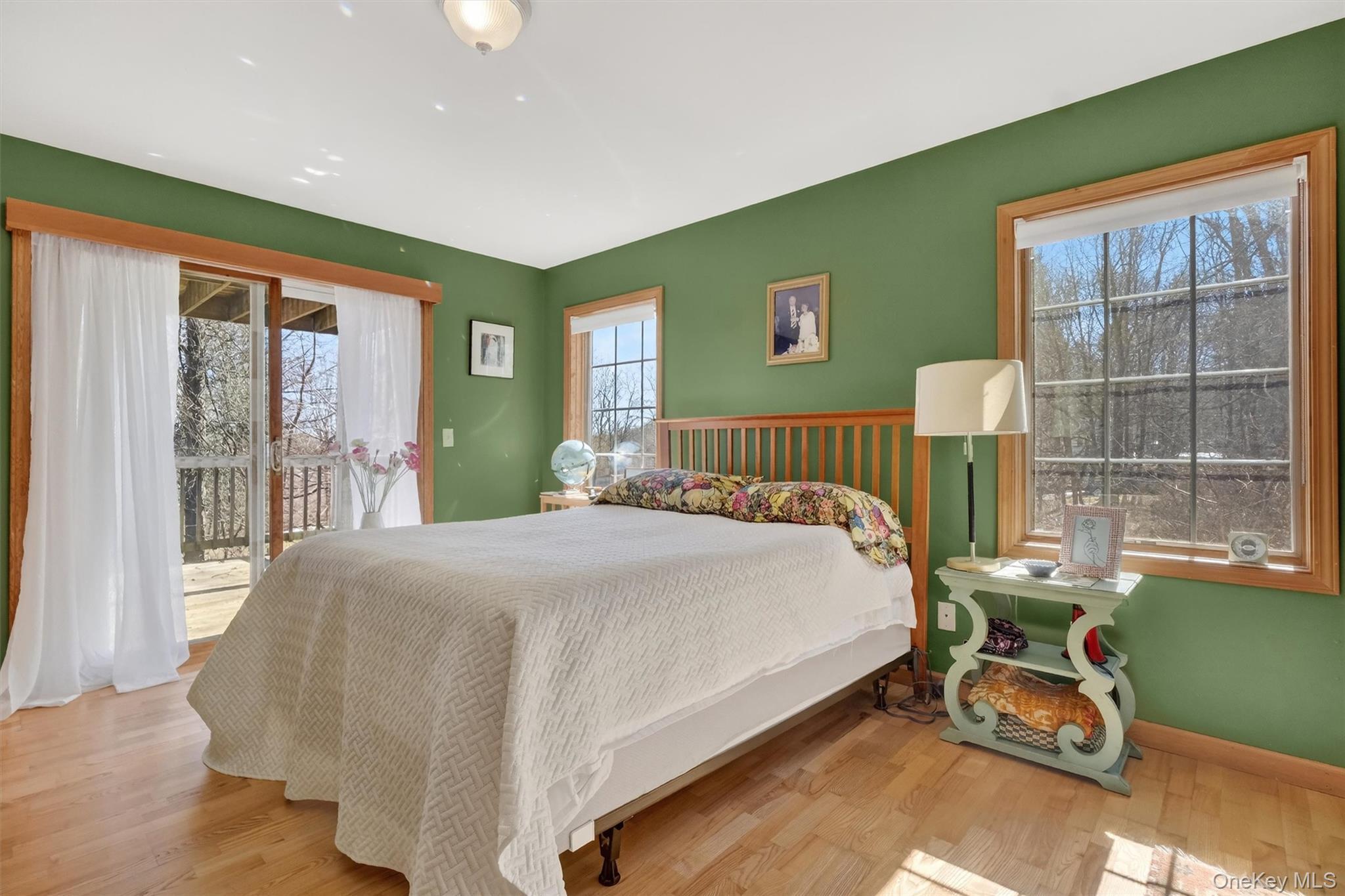 Single Family Meadow  Dutchess County, NY 12571, MLS-970966-9