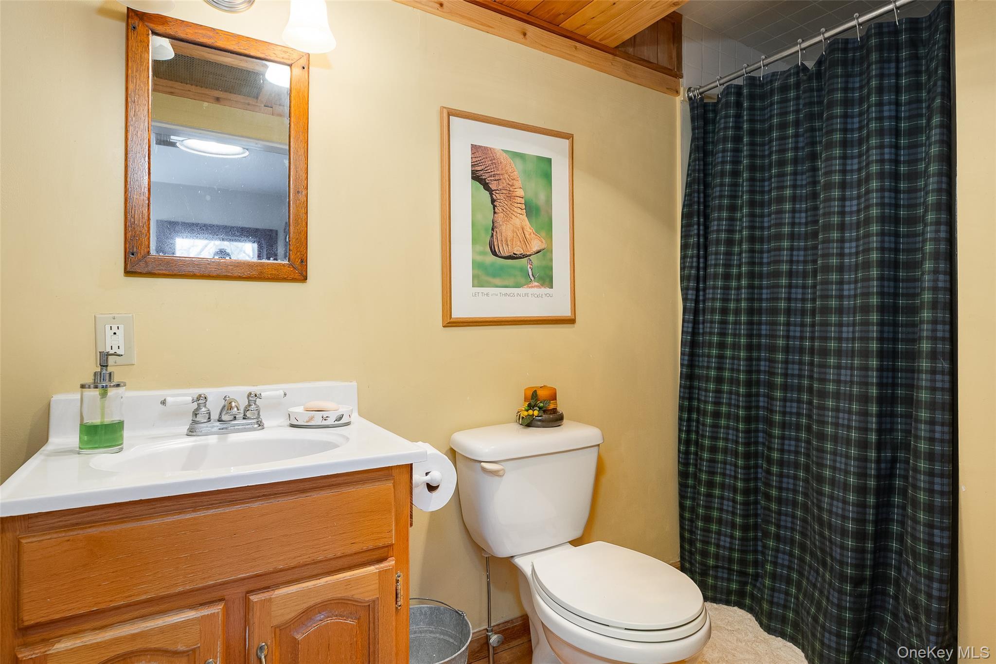 Single Family Salt Point  Dutchess County, NY 12514, MLS-971008-13
