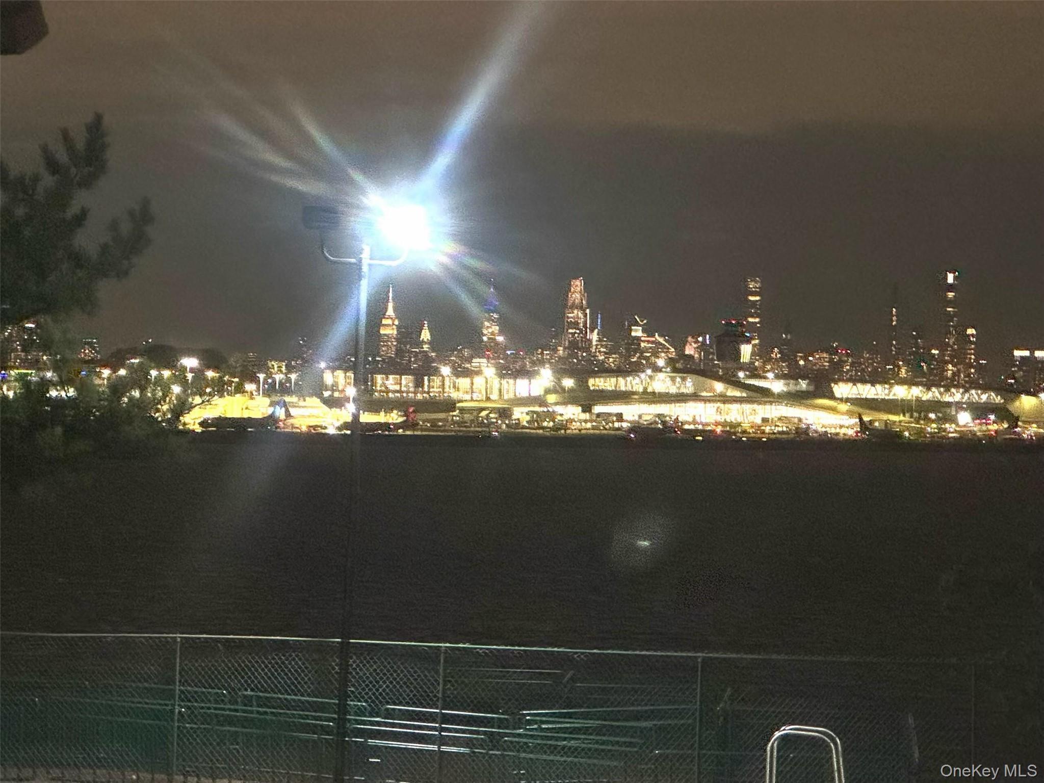 Condo 120th  Queens, NY 11354, MLS-971009-11