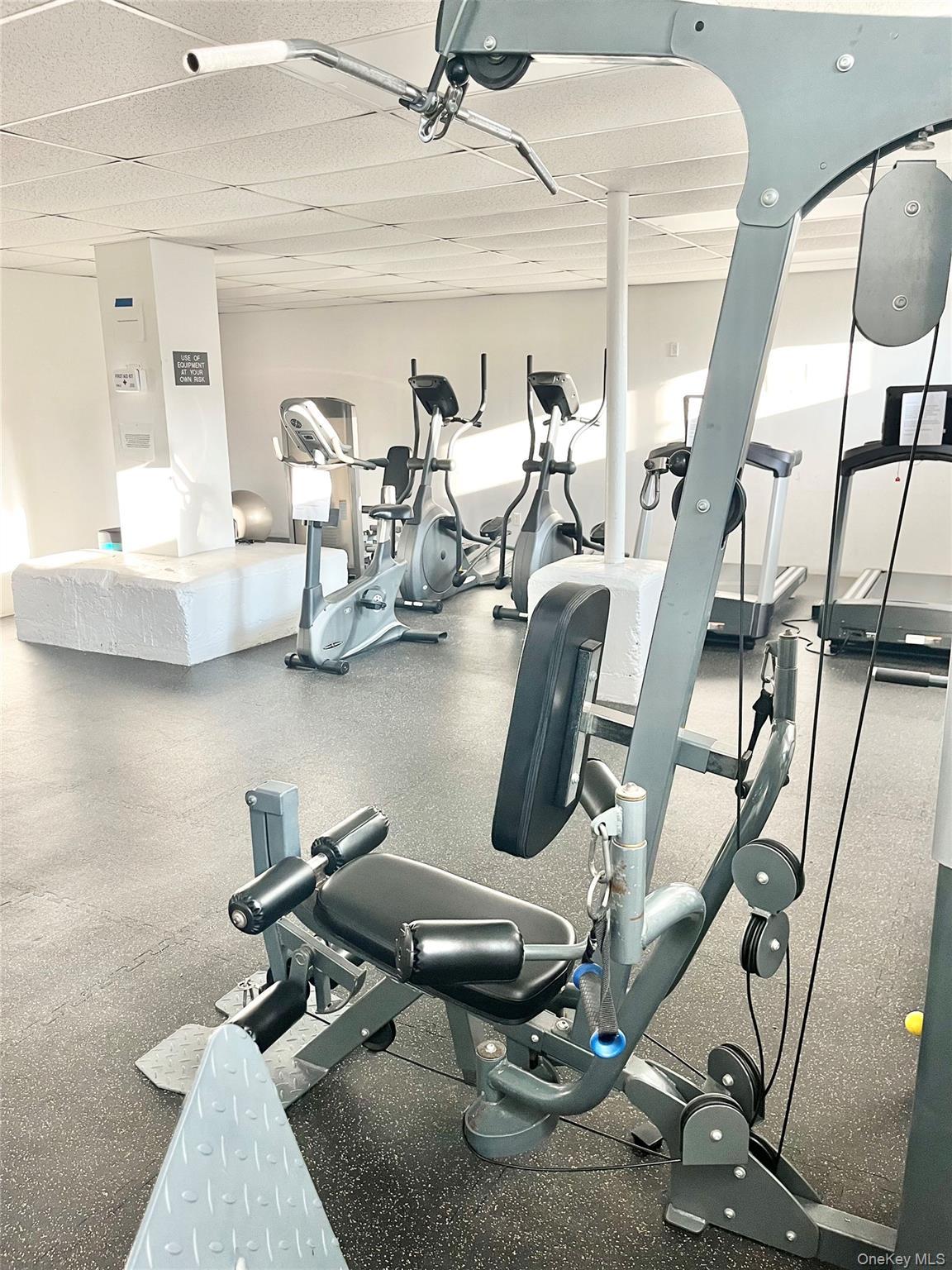 Coop Austin St  Queens, NY 11375, MLS-971027-15