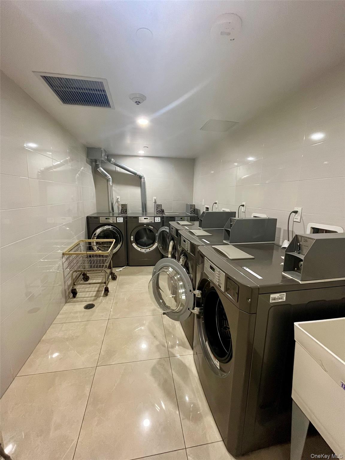 Condo 57th  Brooklyn, NY 11220, MLS-971053-15