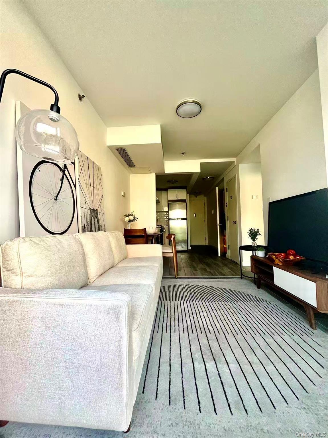 Condo 57th  Brooklyn, NY 11220, MLS-971053-2