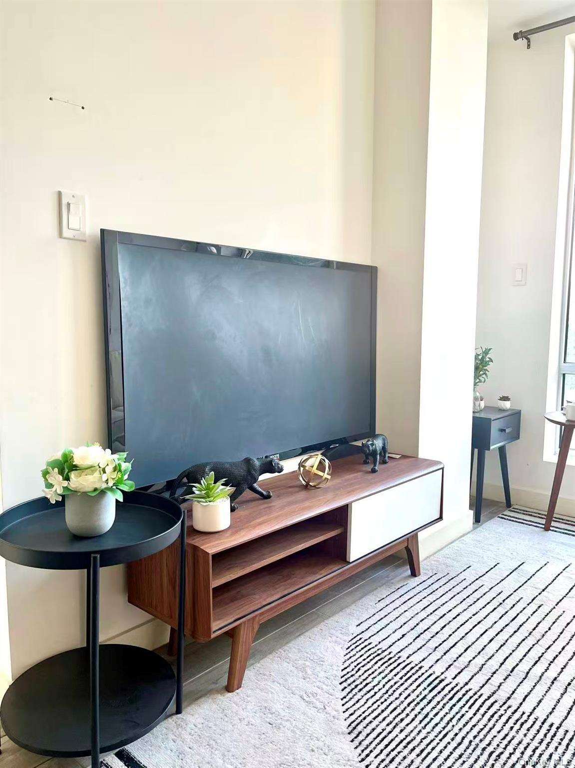 Condo 57th  Brooklyn, NY 11220, MLS-971053-3