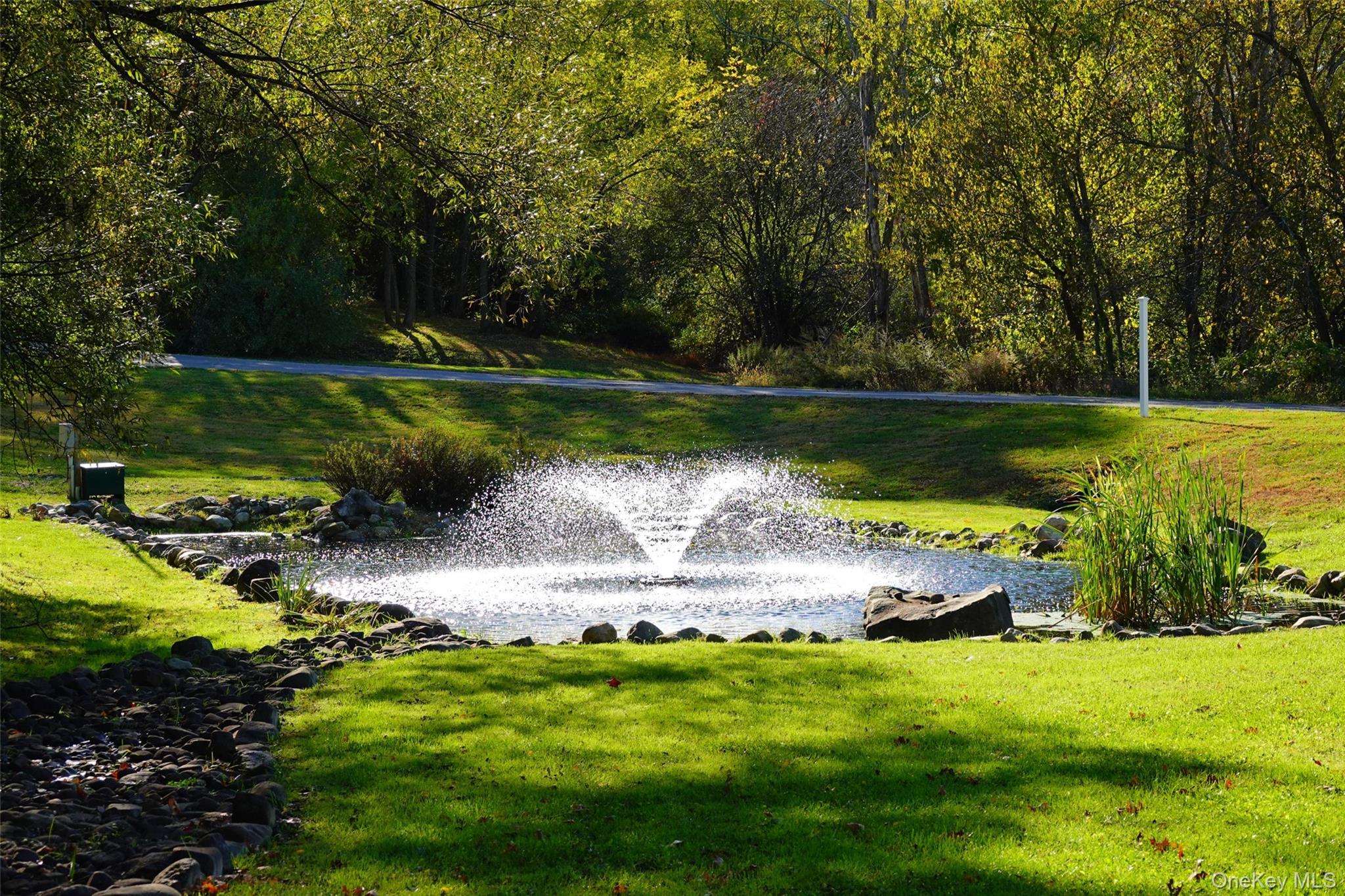 Single Family Wheeler Orange County, NY 10921, MLS-971083-20