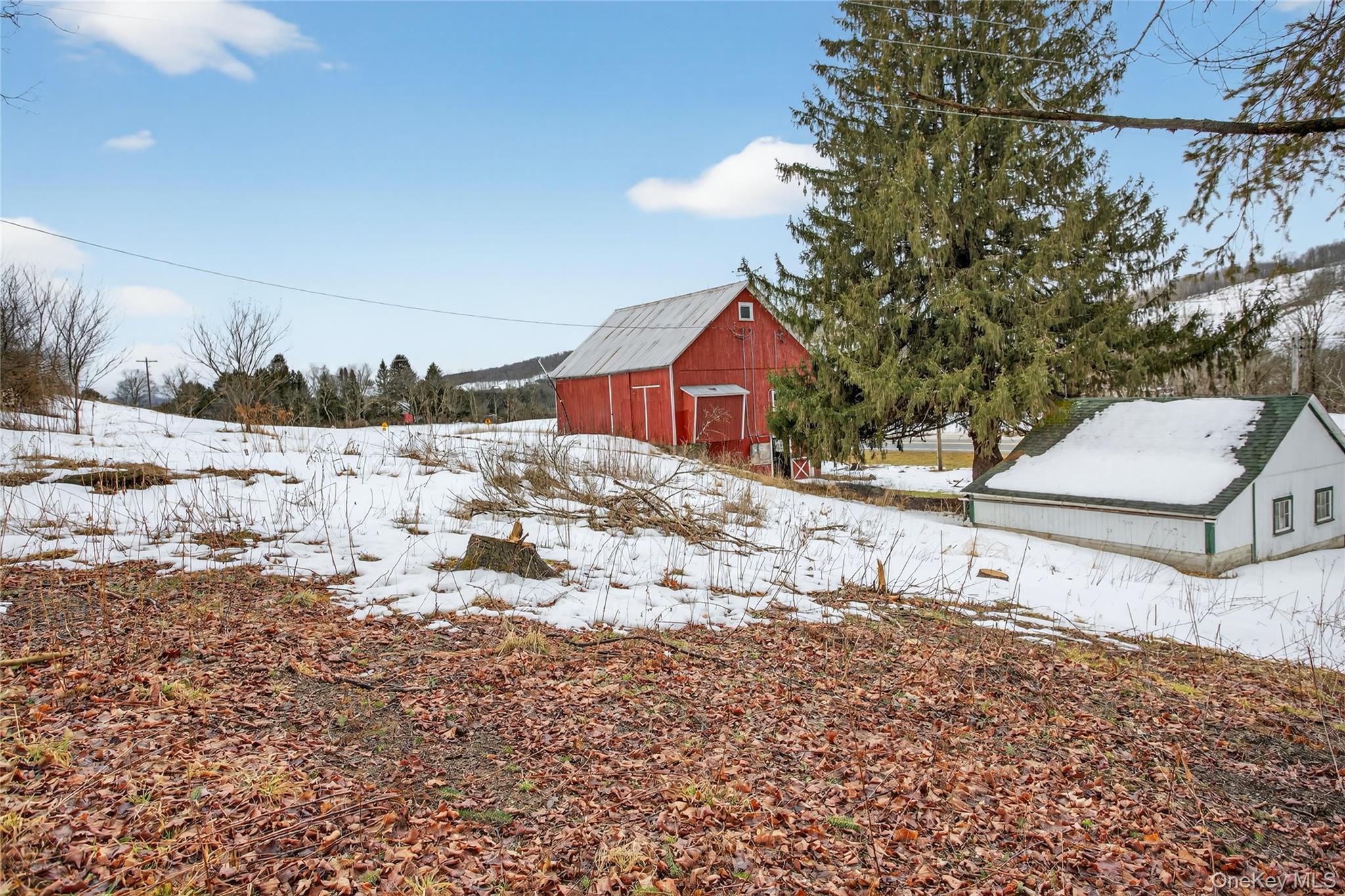 Single Family State Highway  Out Of Area, NY 13810, MLS-971089-24