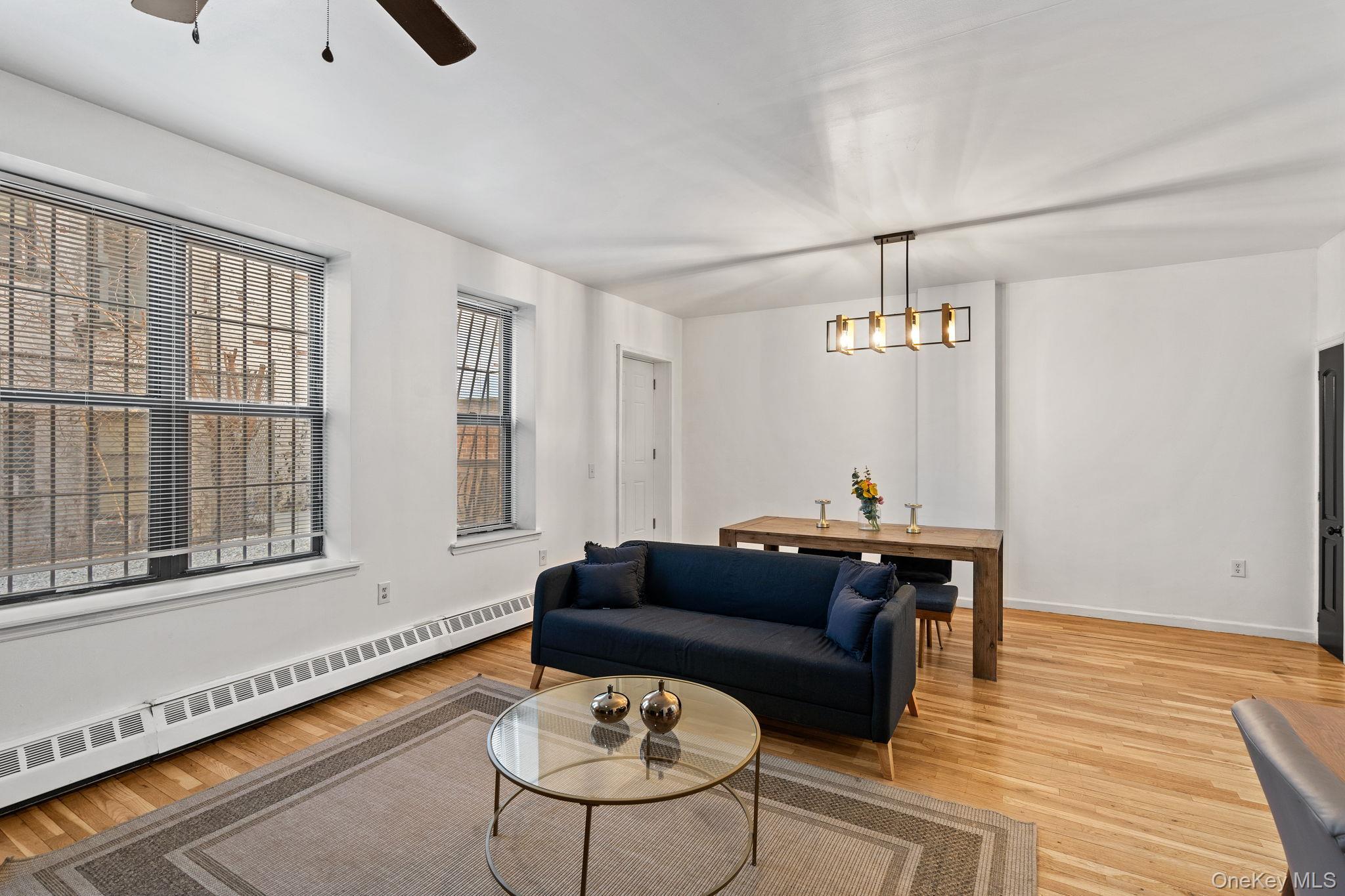 Single Family Thomas S Boyland  Brooklyn, NY 11233, MLS-971096-3