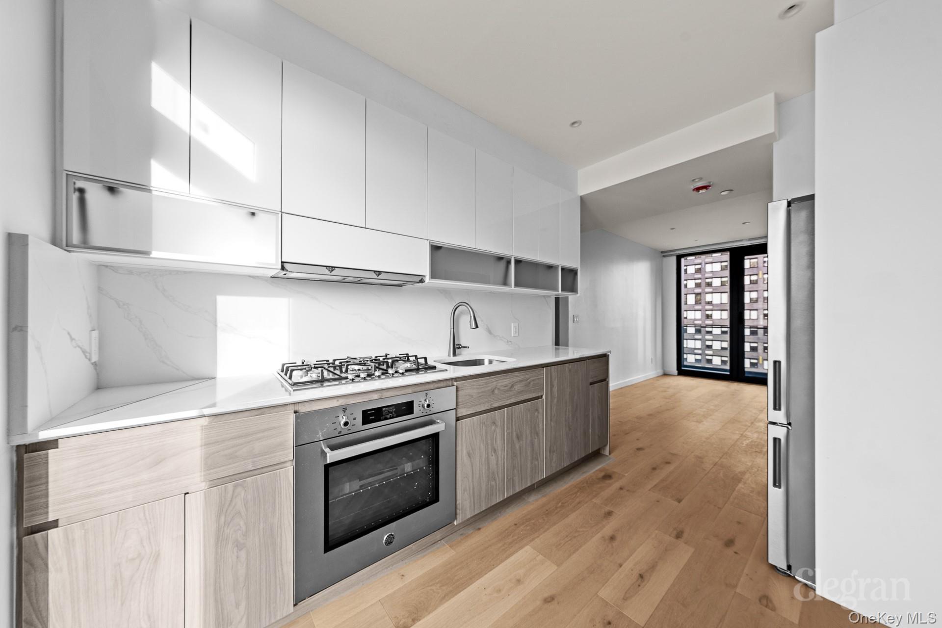 Condo Hunter  Queens, NY 11101, MLS-971100-13