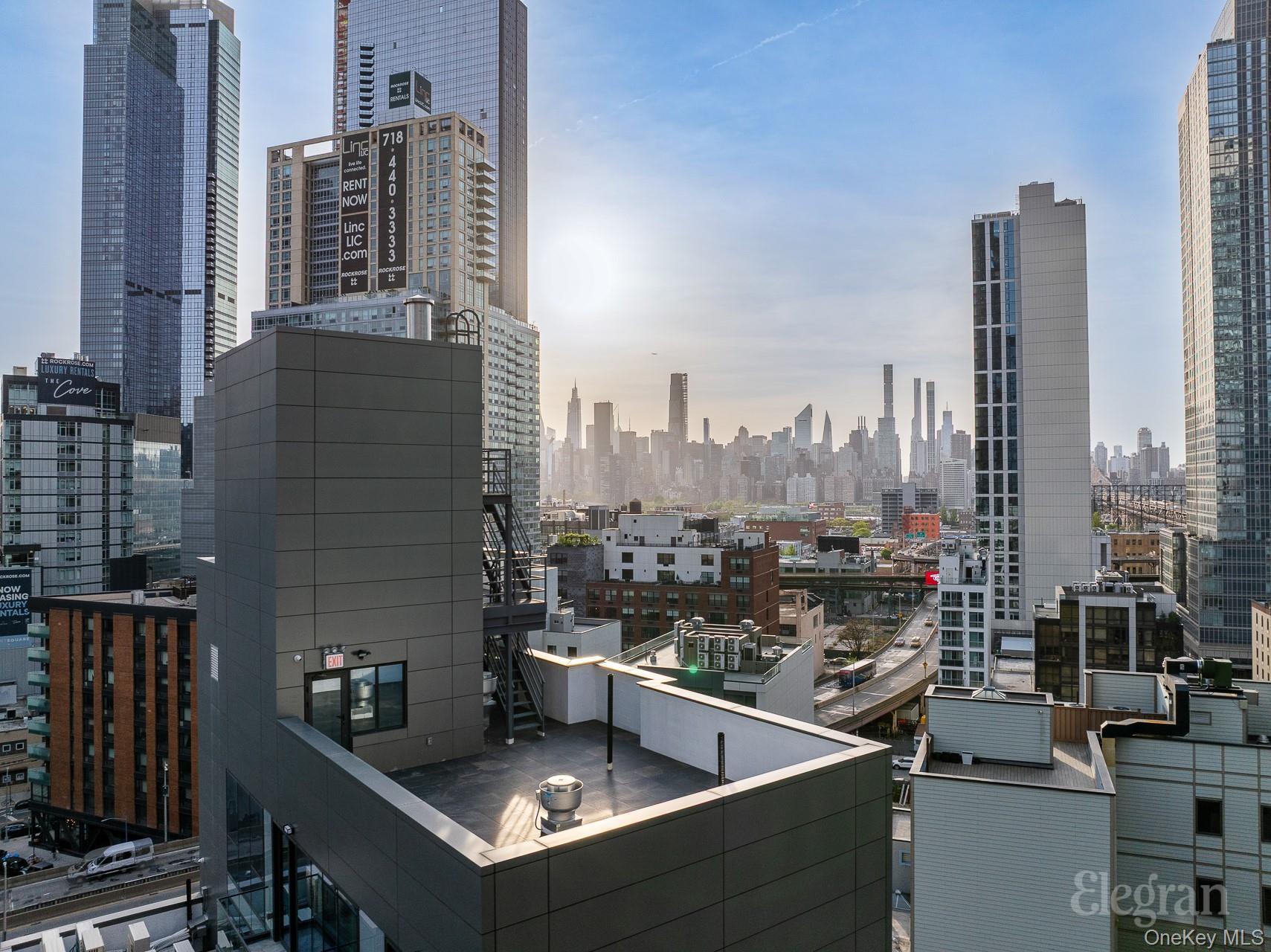 Condo Hunter  Queens, NY 11101, MLS-971100-23