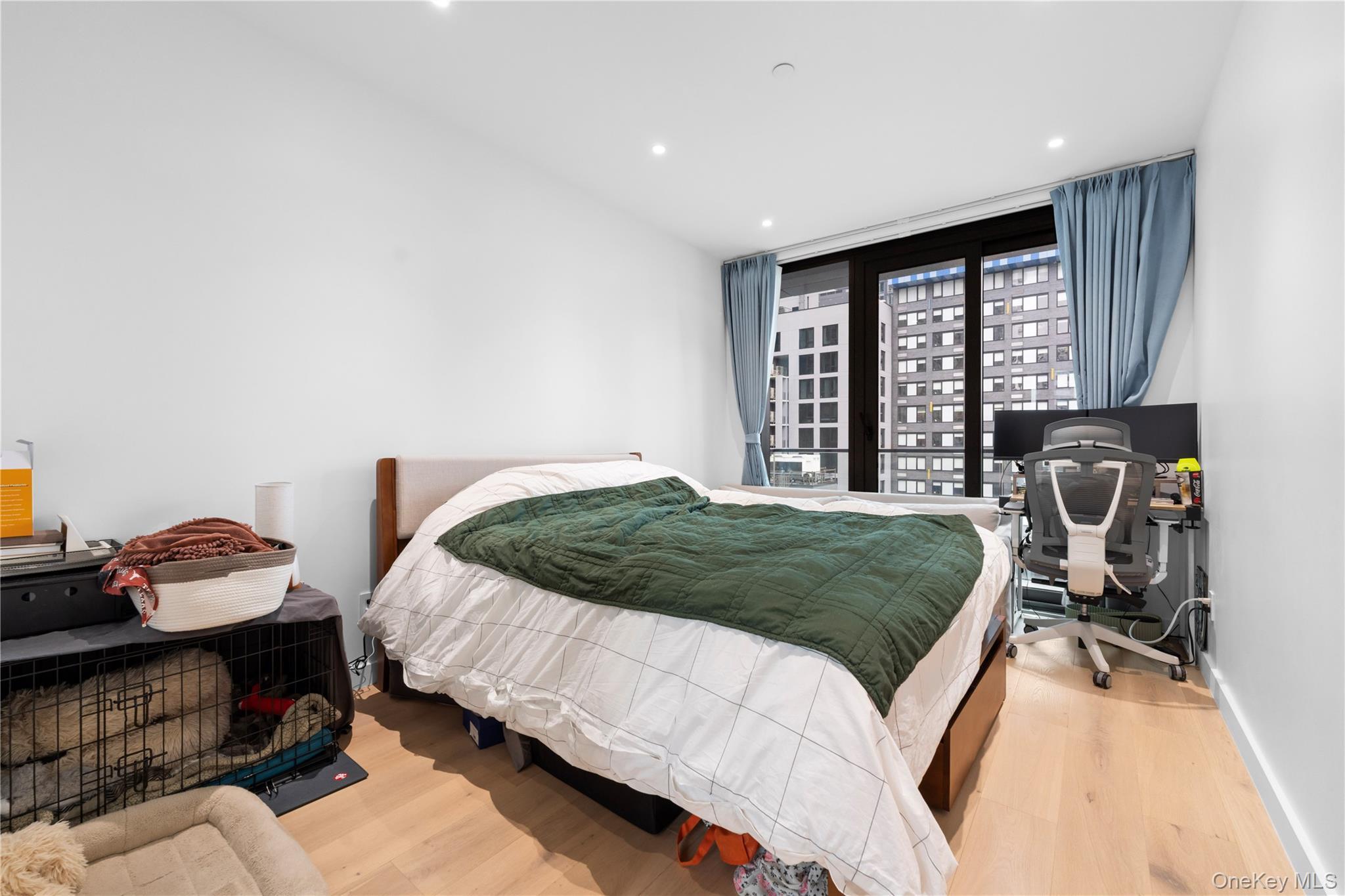 Condo Hunter  Queens, NY 11101, MLS-971100-3