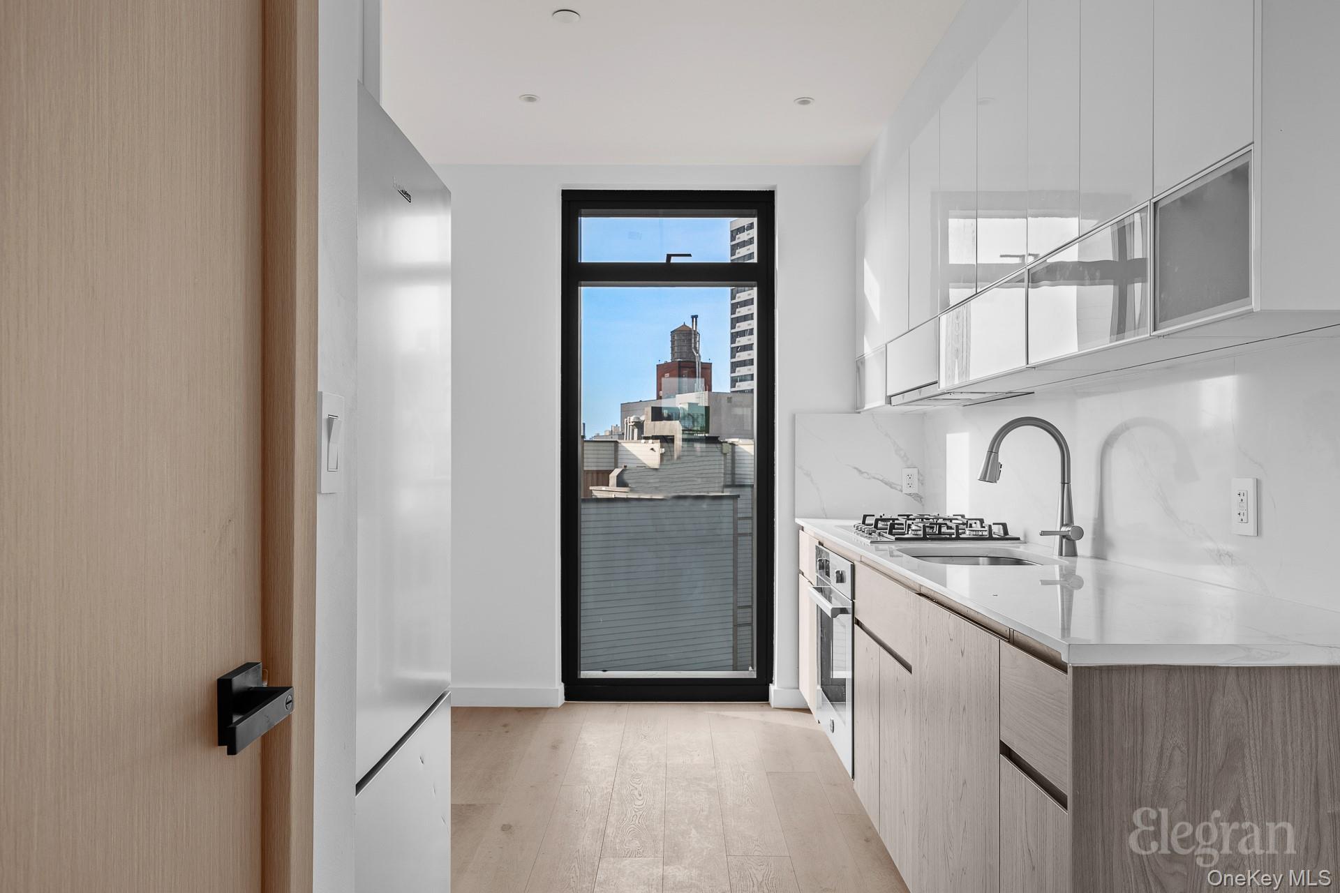 Condo Hunter  Queens, NY 11101, MLS-971100-7