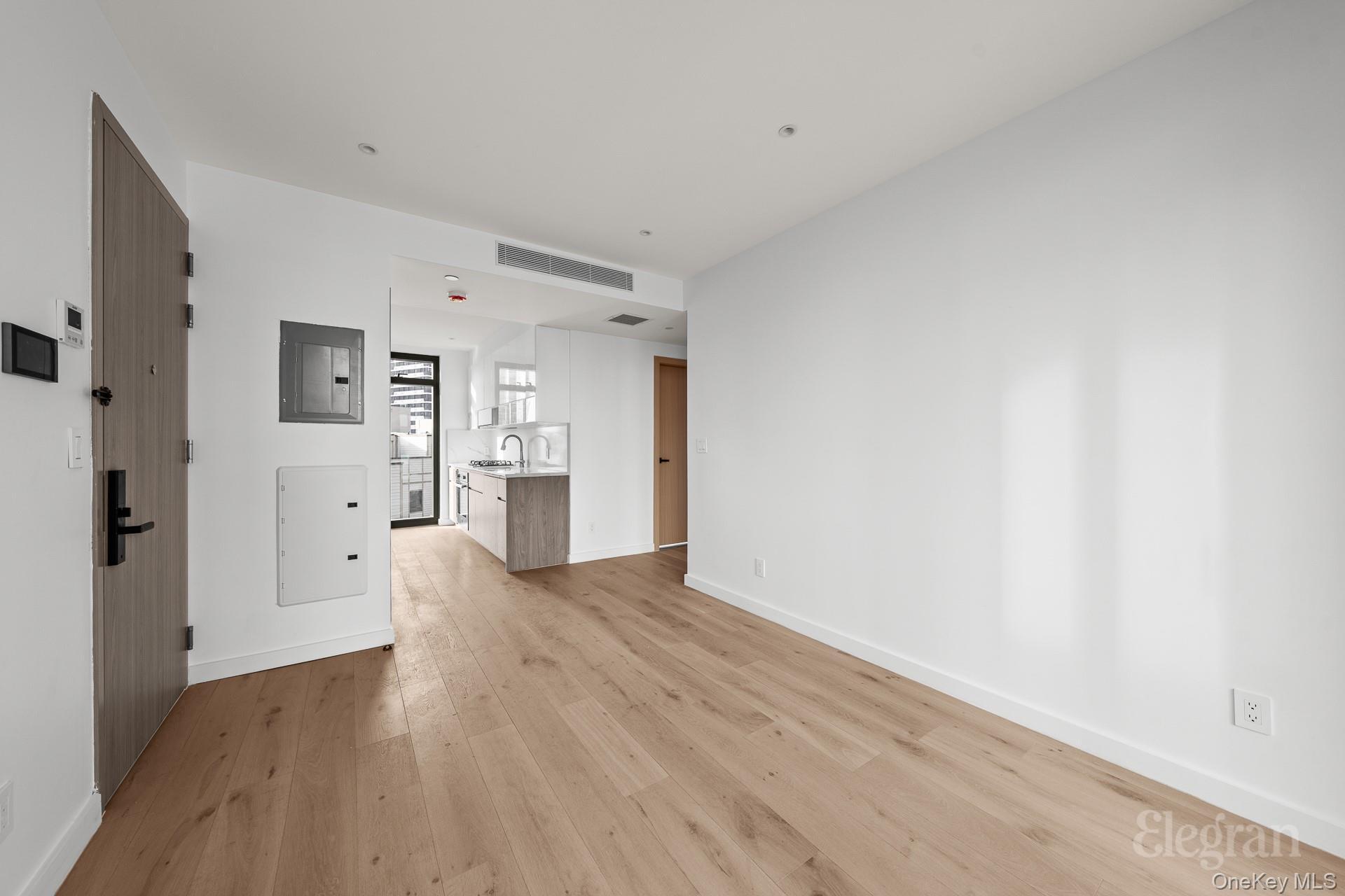 Condo Hunter  Queens, NY 11101, MLS-971100-9