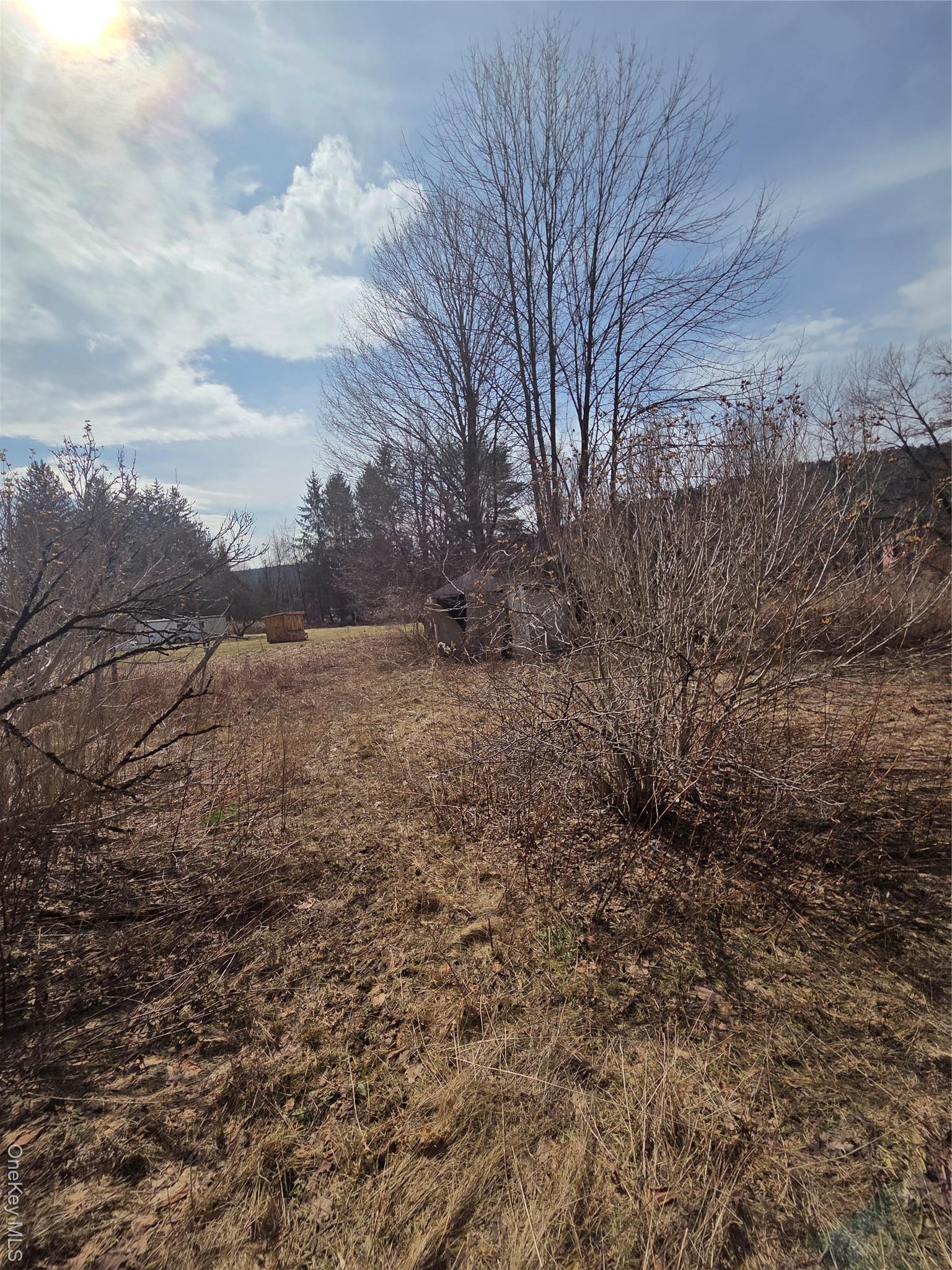 Single Family State Highway 97  Delaware County, NY 13783, MLS-971154-14