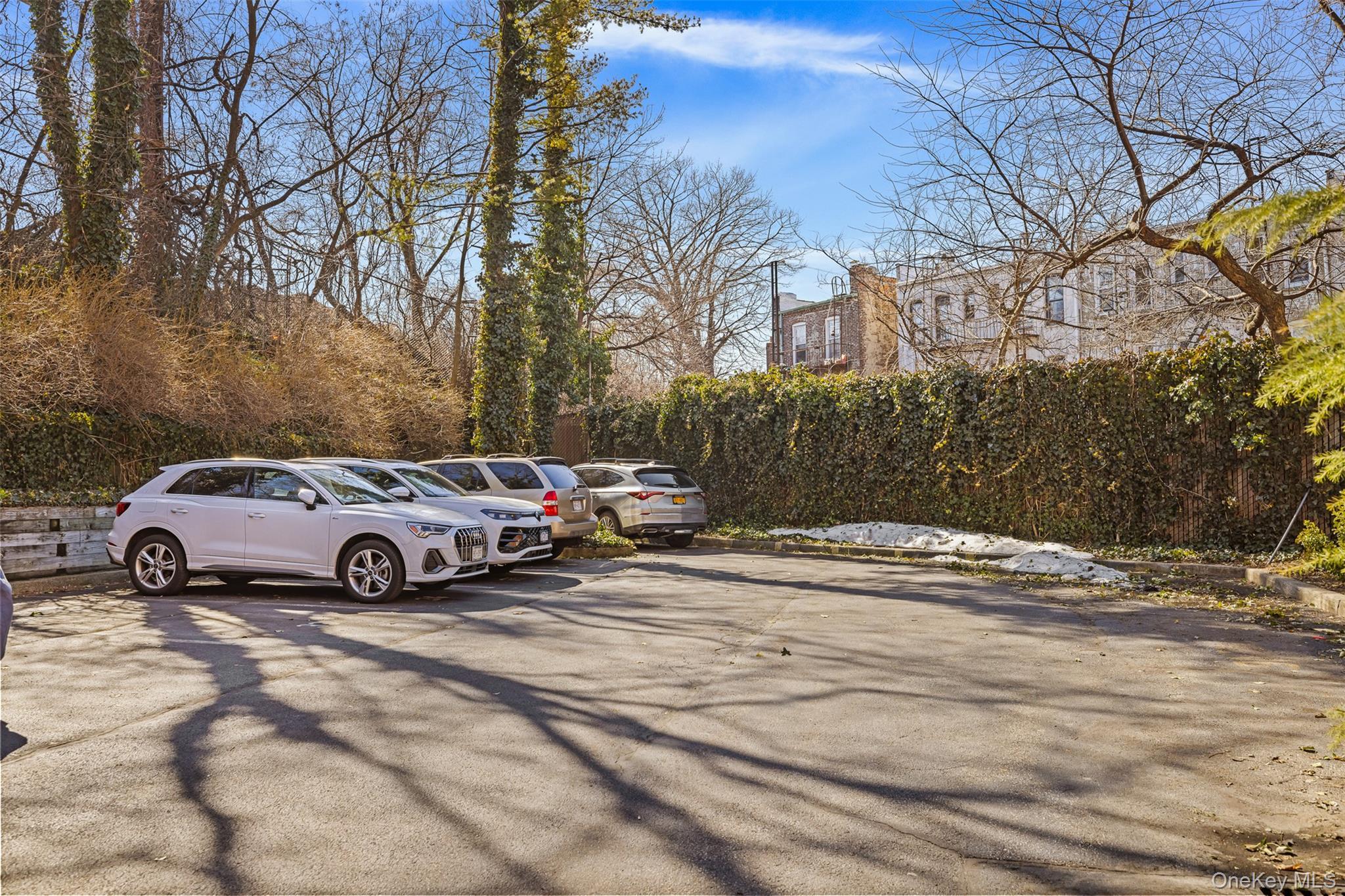 Condo 71  Queens, NY 11385, MLS-971159-10