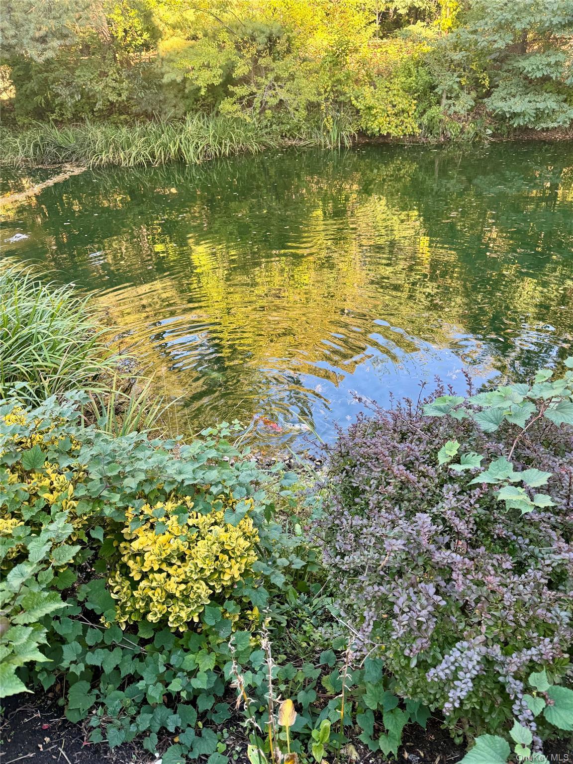 Condo Kristin  Suffolk County, NY 11788, MLS-971197-32