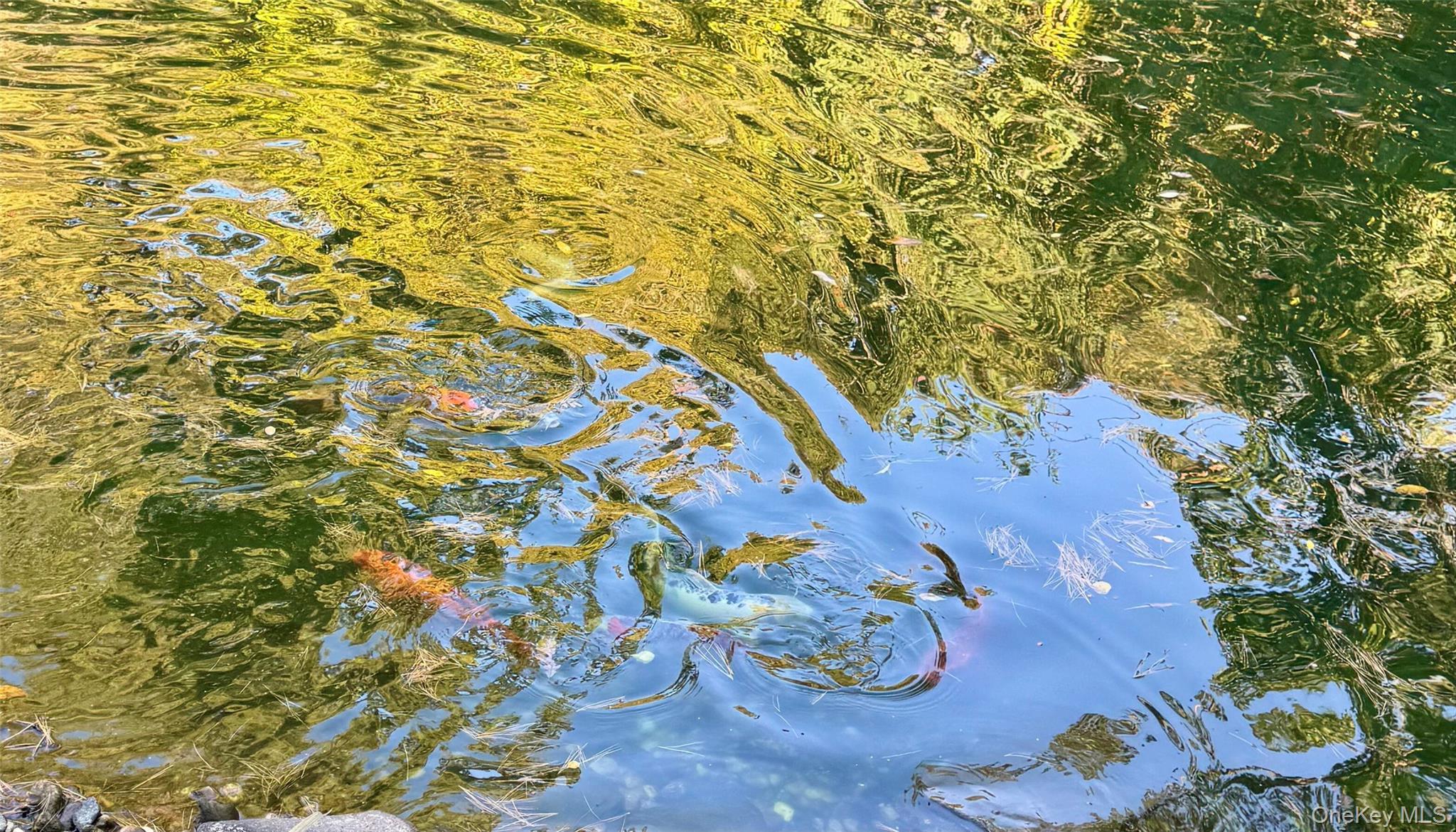 Condo Kristin  Suffolk County, NY 11788, MLS-971197-33