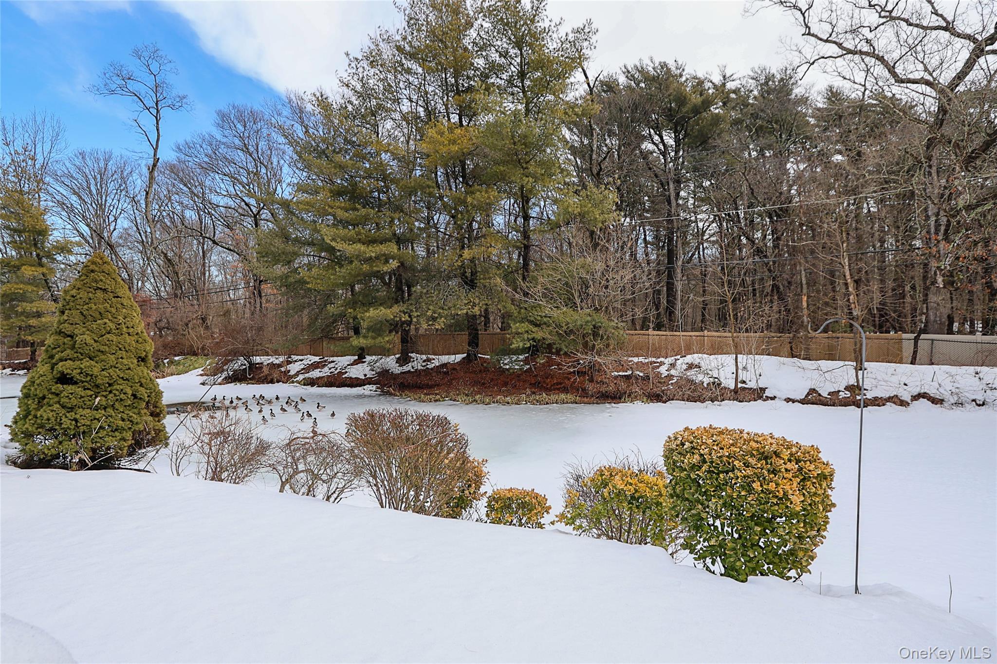 Condo Kristin  Suffolk County, NY 11788, MLS-971197-35