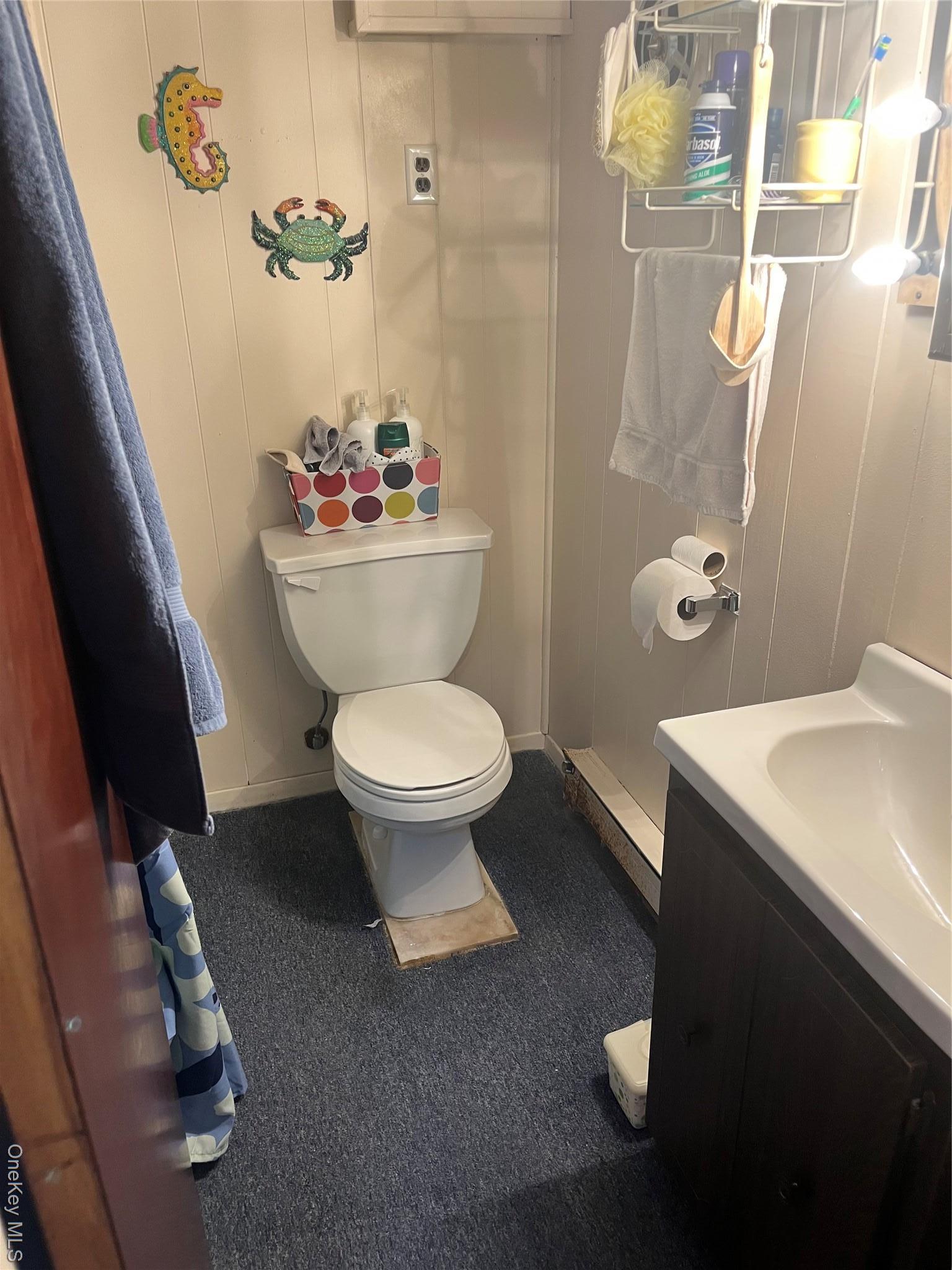 Single Family Chicot  Queens, NY 11417, MLS-971221-7