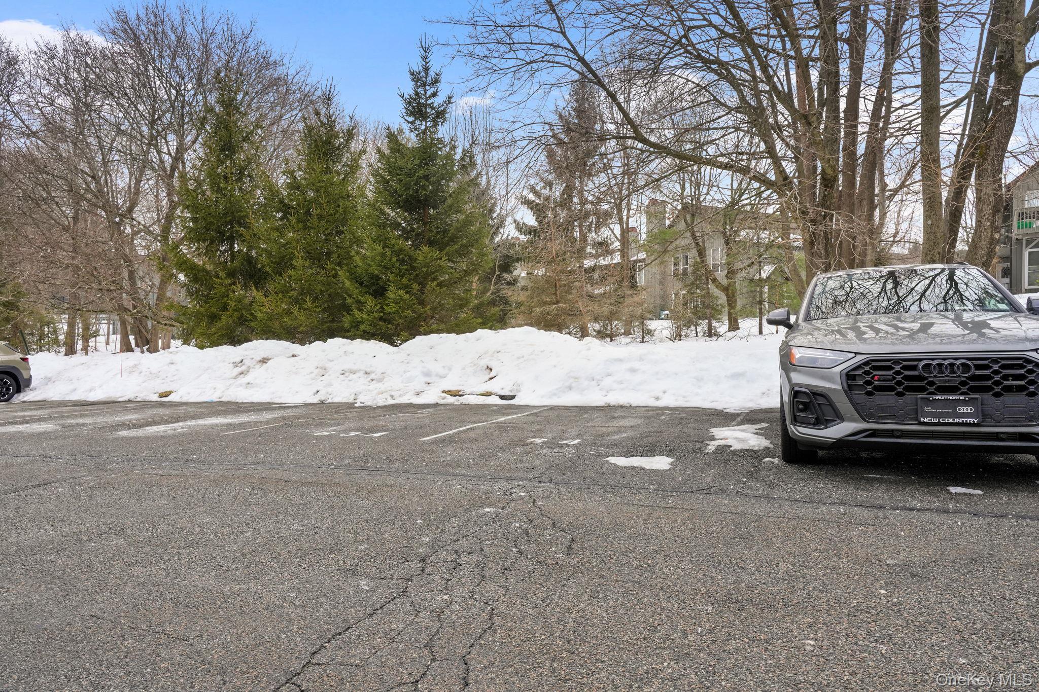 Condo Villa At The  Westchester County, NY 10566, MLS-971233-26