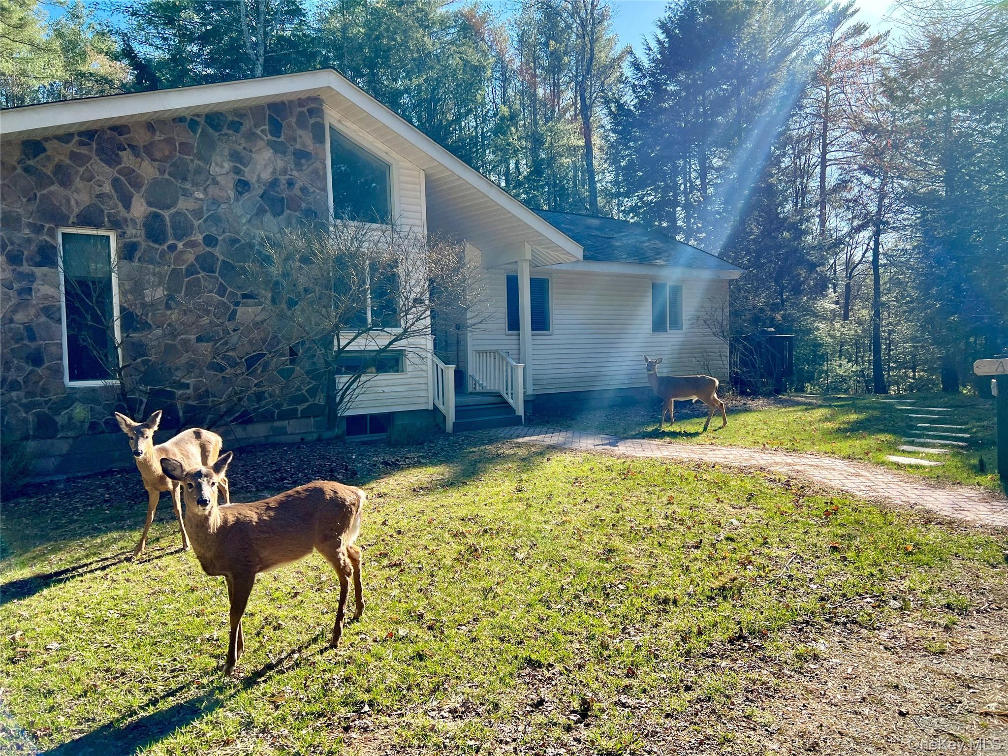 Single Family Horseshoe Lake Sullivan County, NY 12783, MLS-971264-31