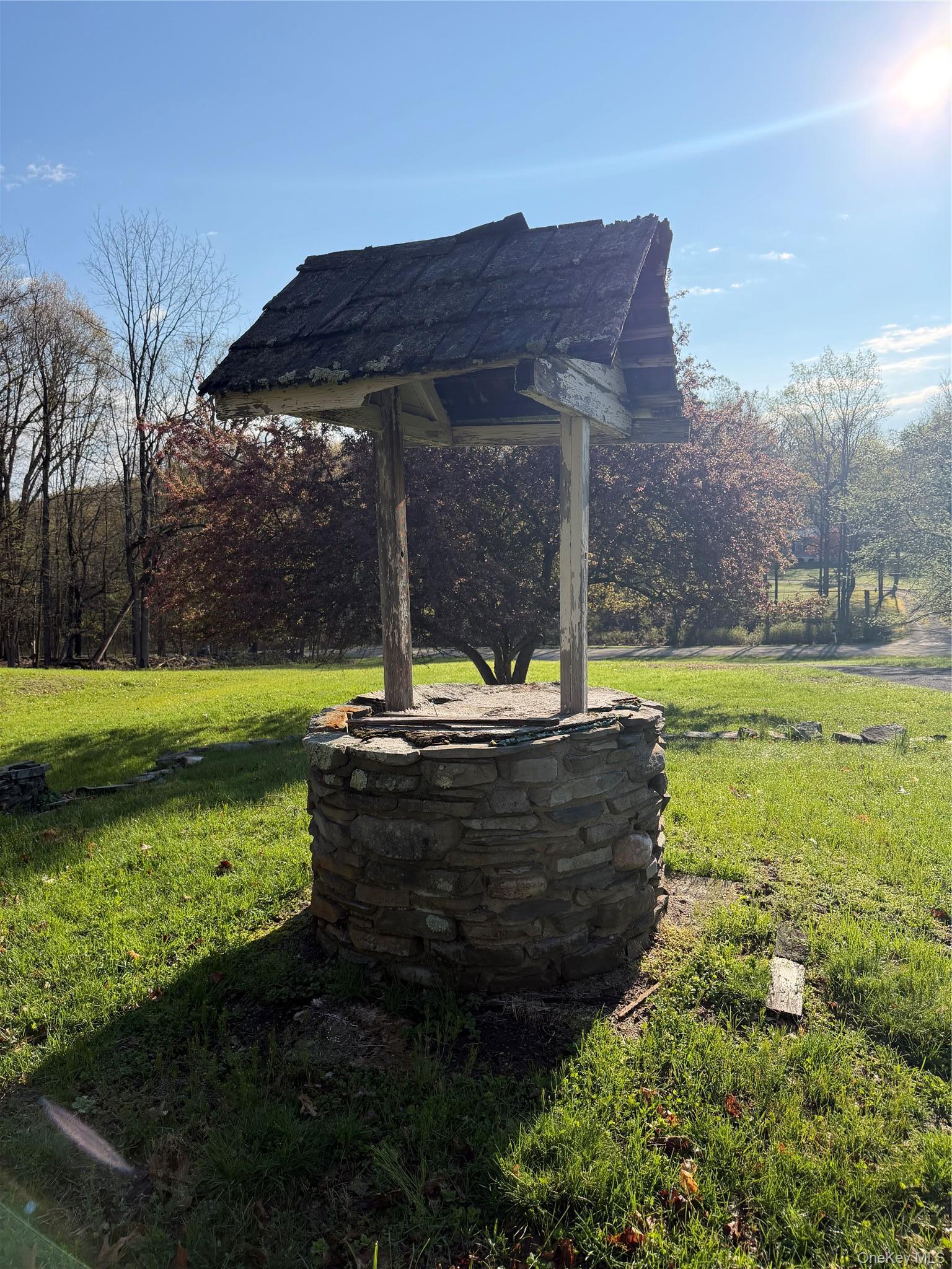 Single Family Heinsman  Orange County, NY 12589, MLS-971295-7