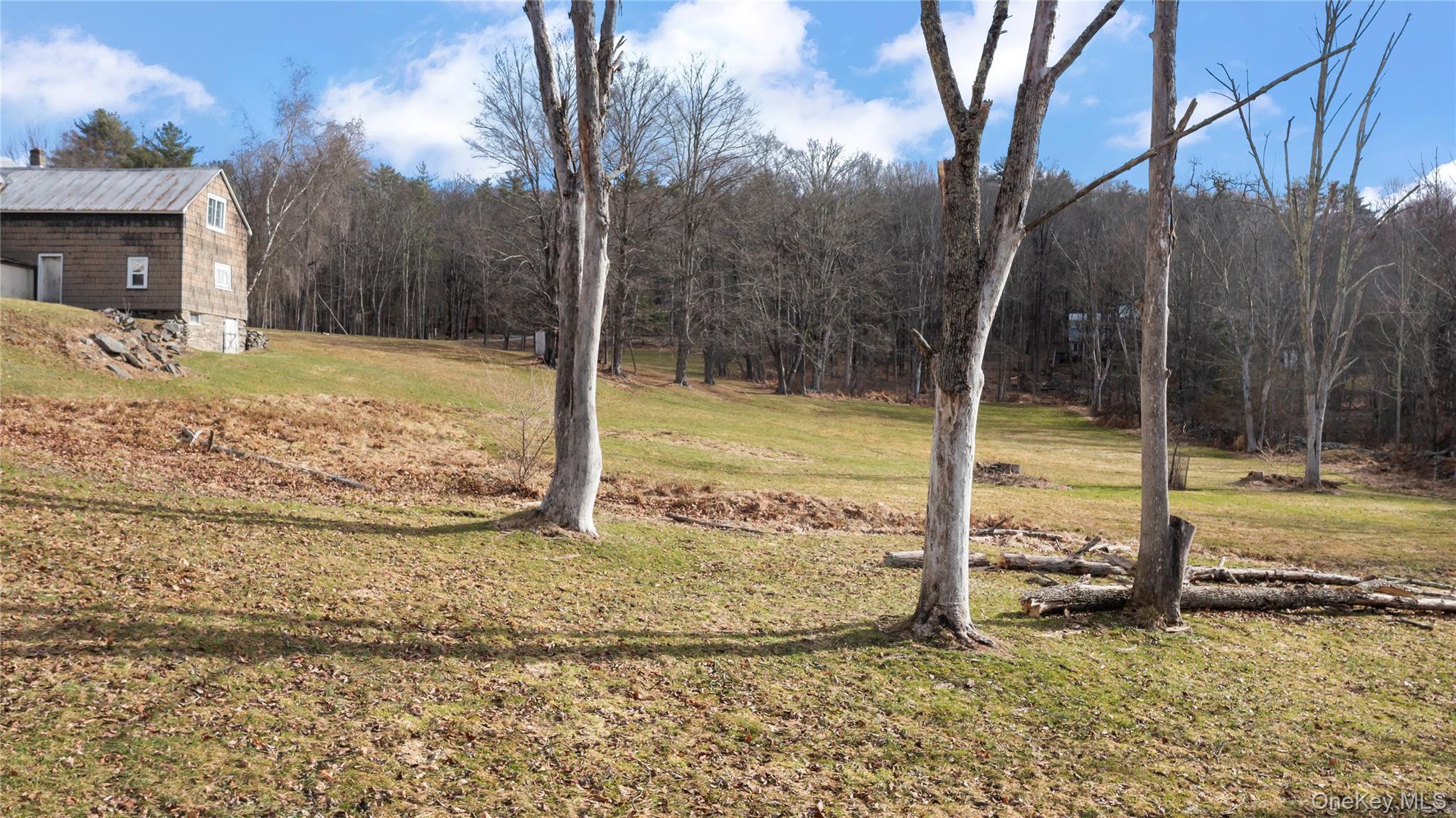 Single Family Mettacahonts  Ulster County, NY 12404, MLS-971318-30