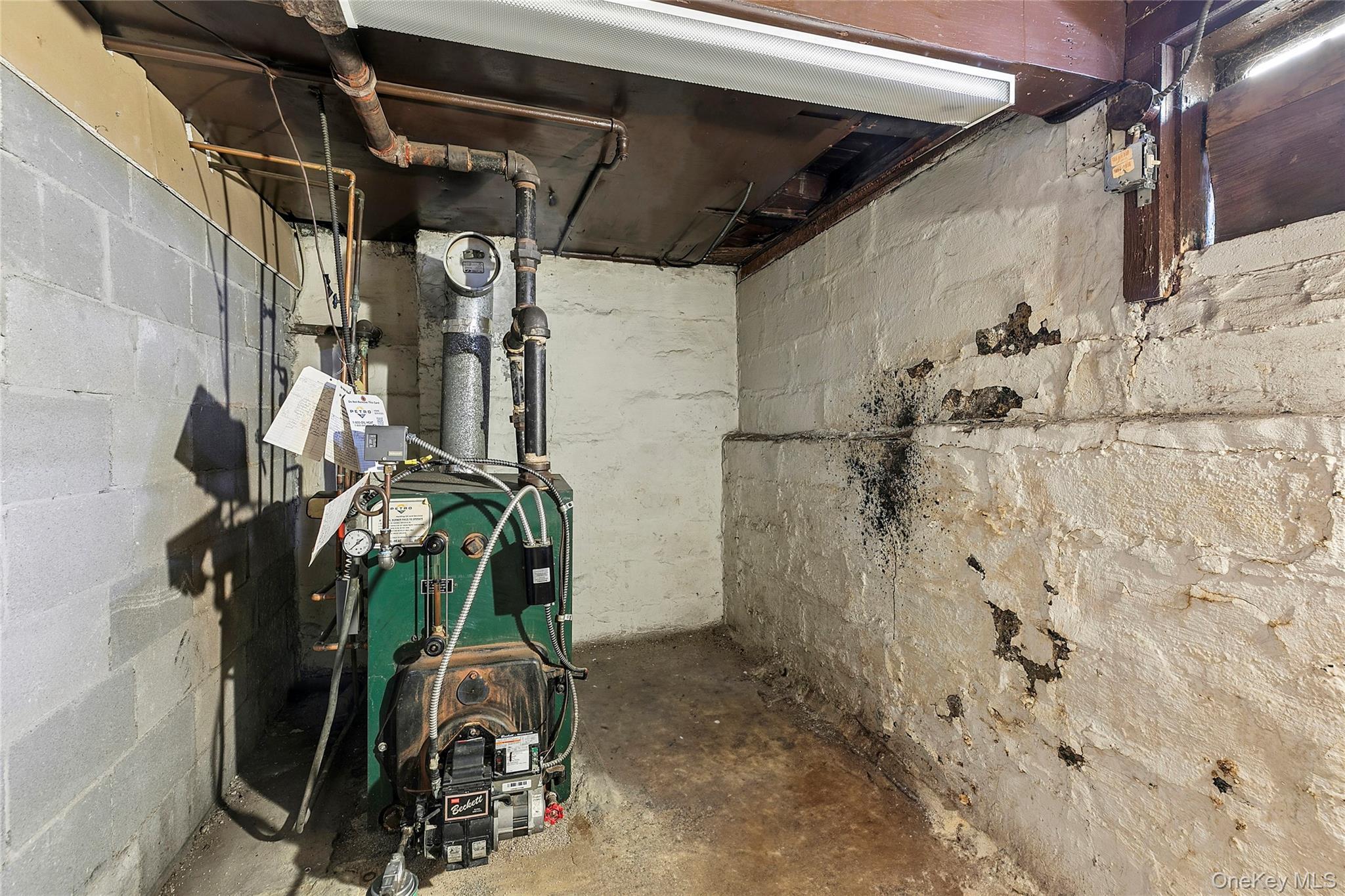 Single Family 113th  Queens, NY 11419, MLS-971355-10