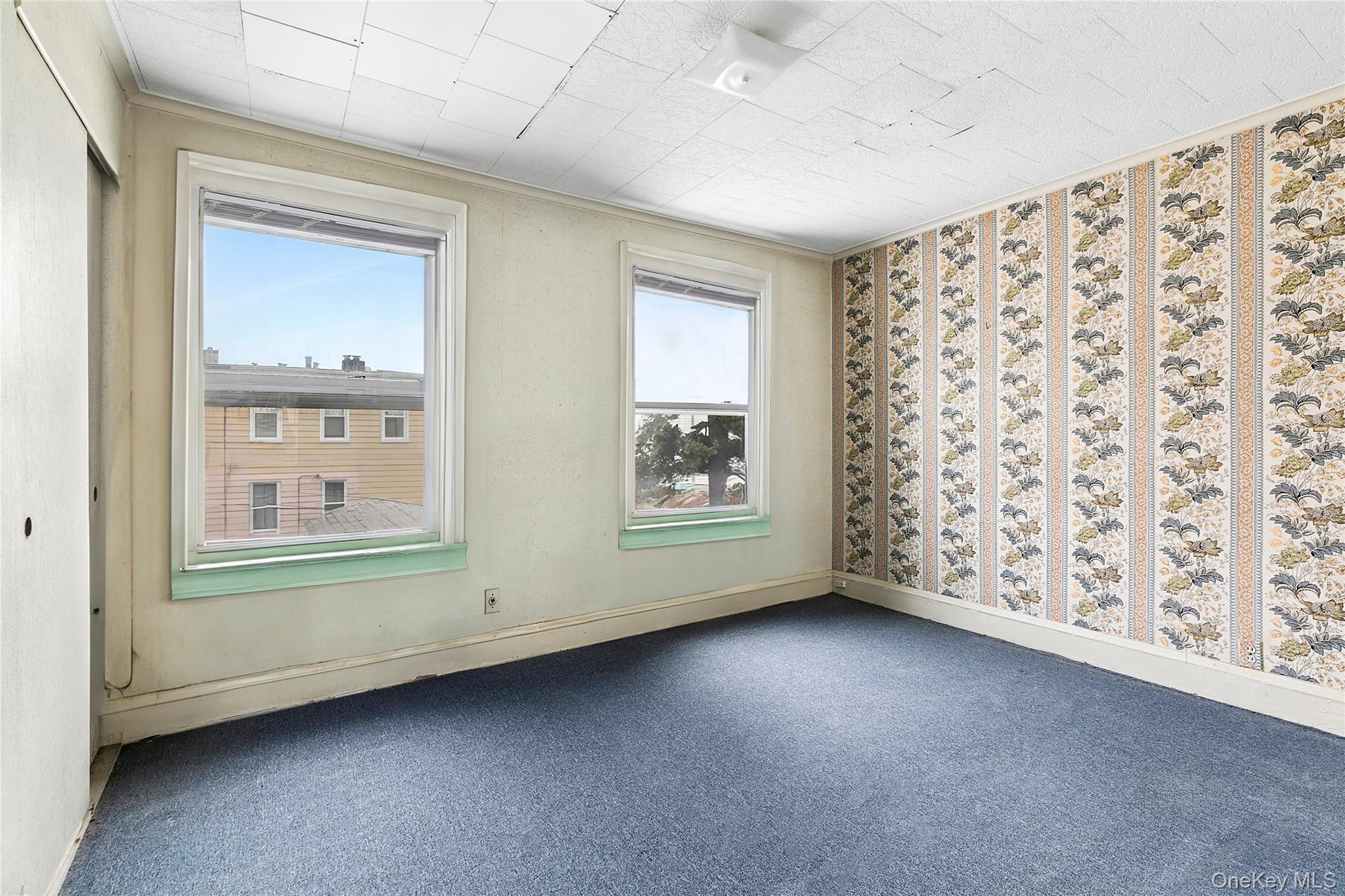 Single Family 113th  Queens, NY 11419, MLS-971355-5