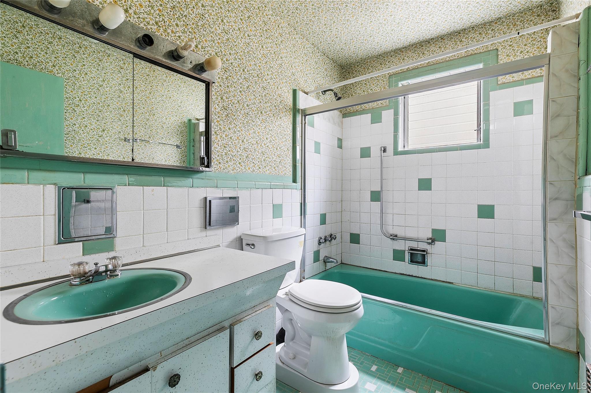 Single Family 113th  Queens, NY 11419, MLS-971355-6