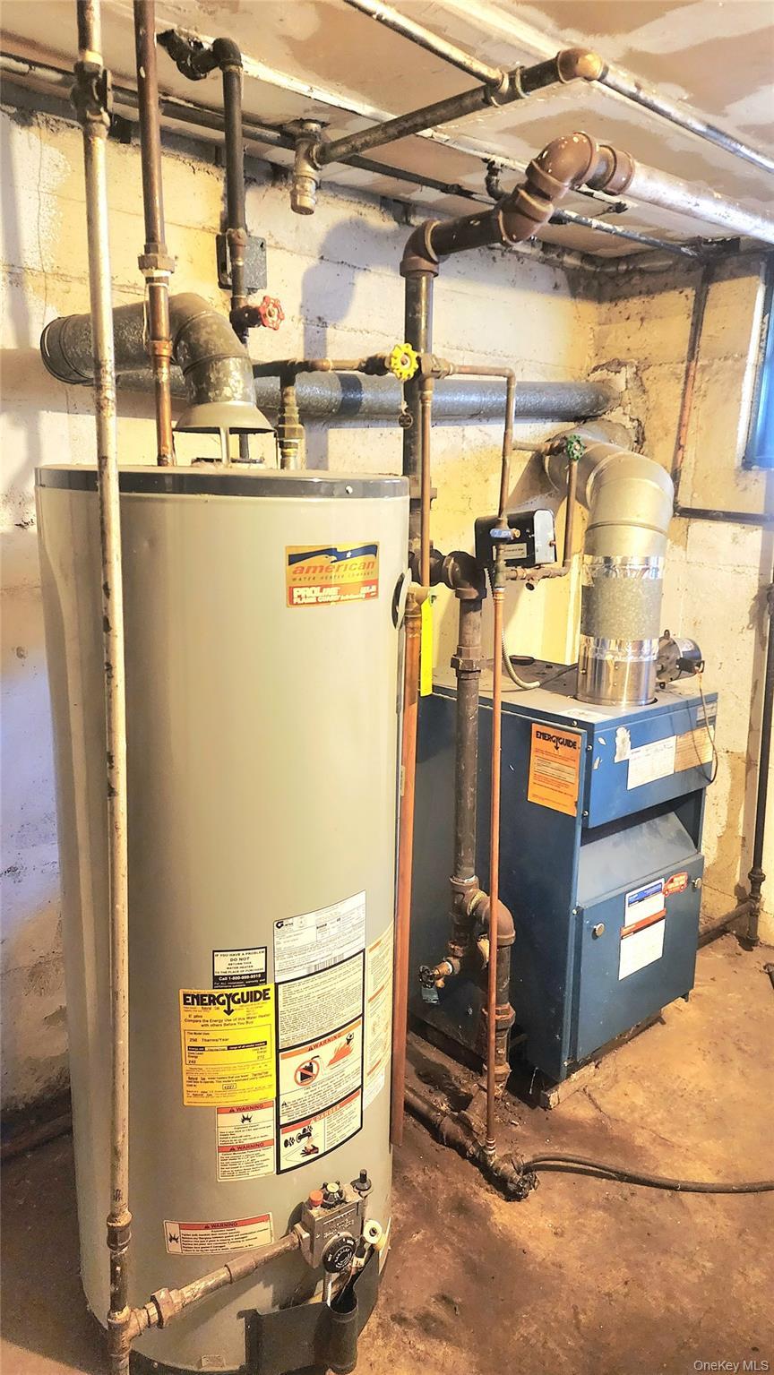 Single Family Remsen  Brooklyn, NY 11236, MLS-971372-24