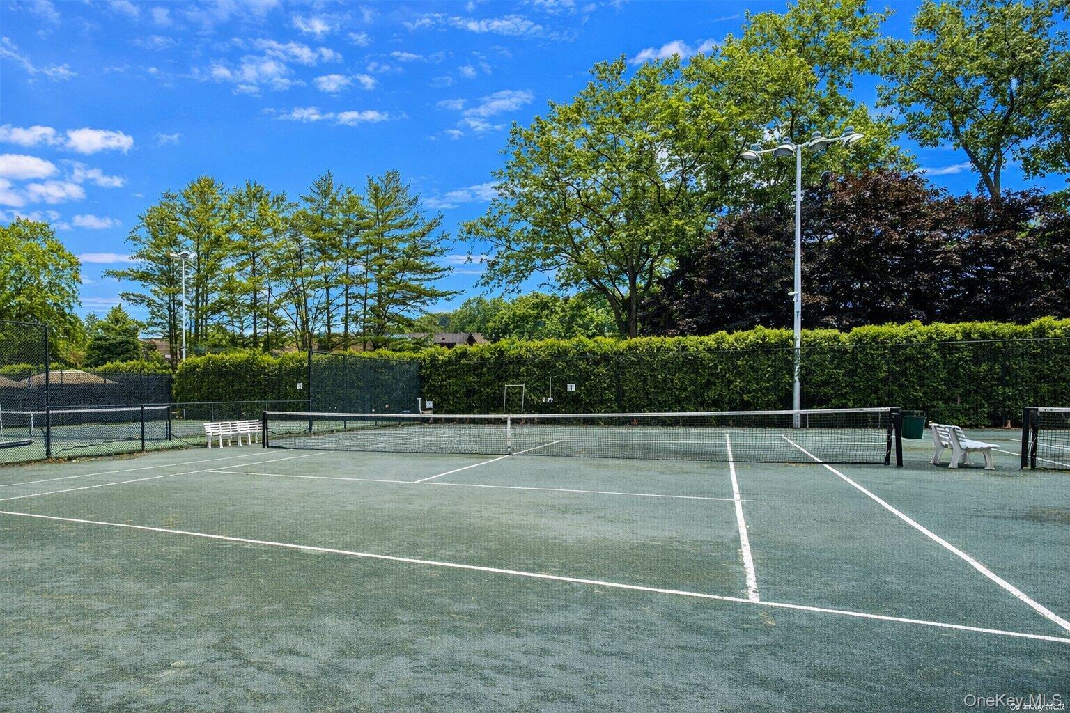 Condo Acorn Ponds  Nassau County, NY 11576, MLS-971389-23